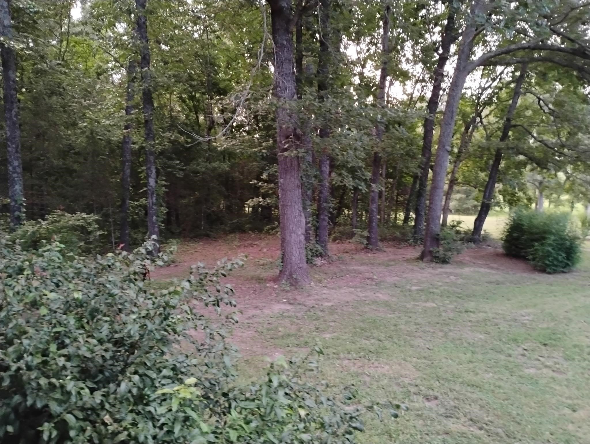 661 Cricket Pass Road  Camp, AR
