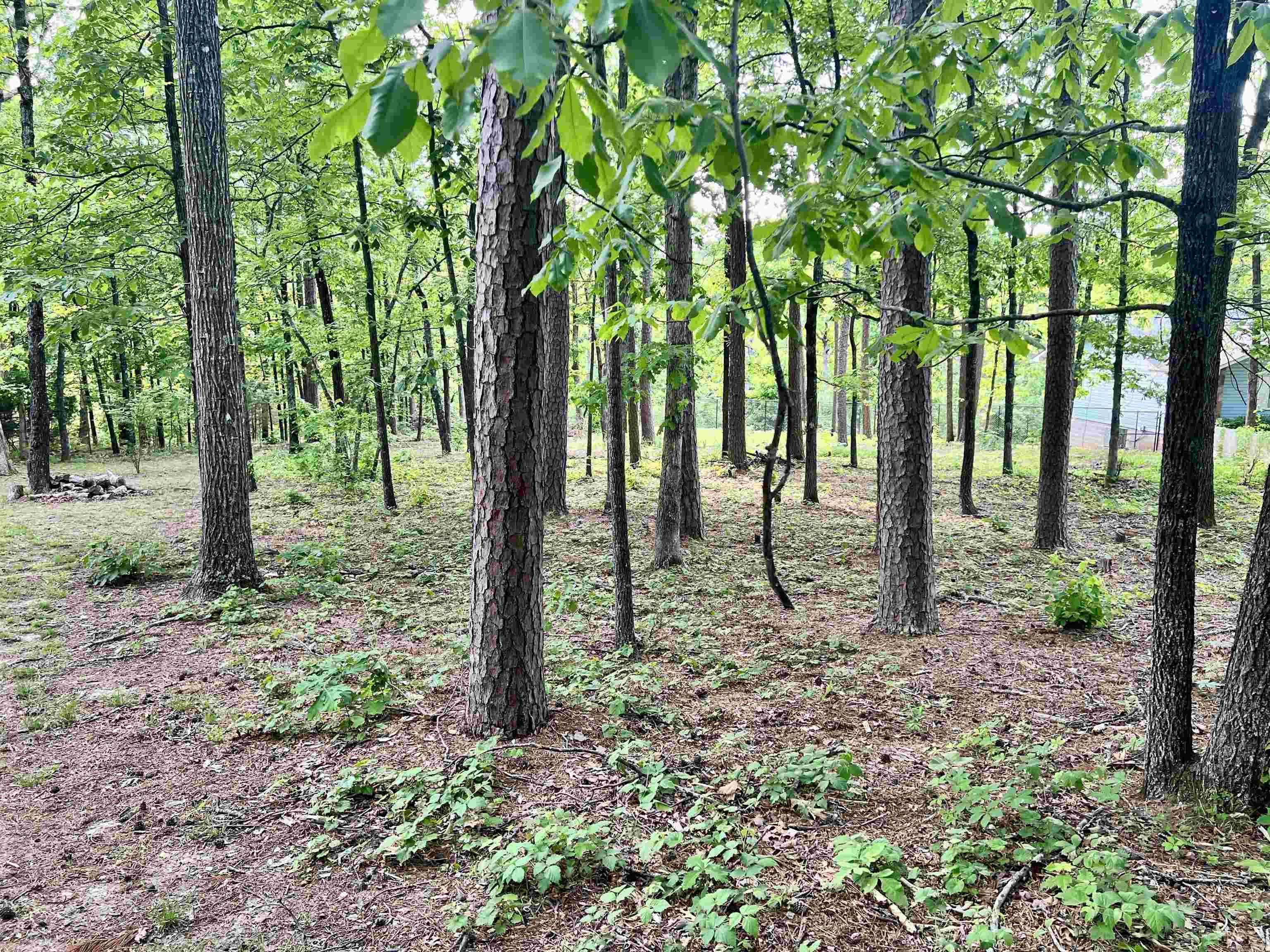 110 Drawbridge  Fairfield Bay, AR