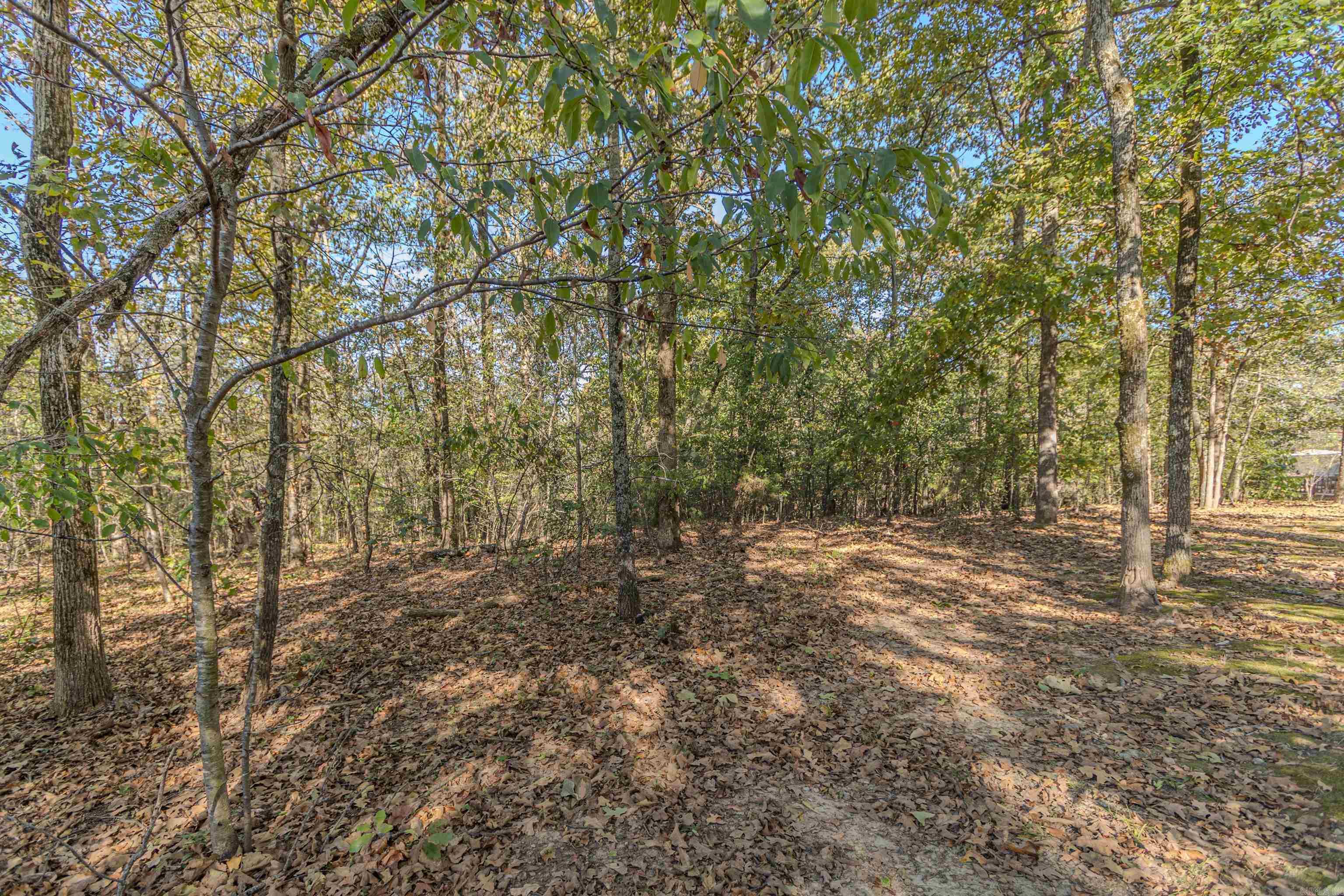 4705 MOUNT CARMEL ROAD Jonesboro, AR 72404