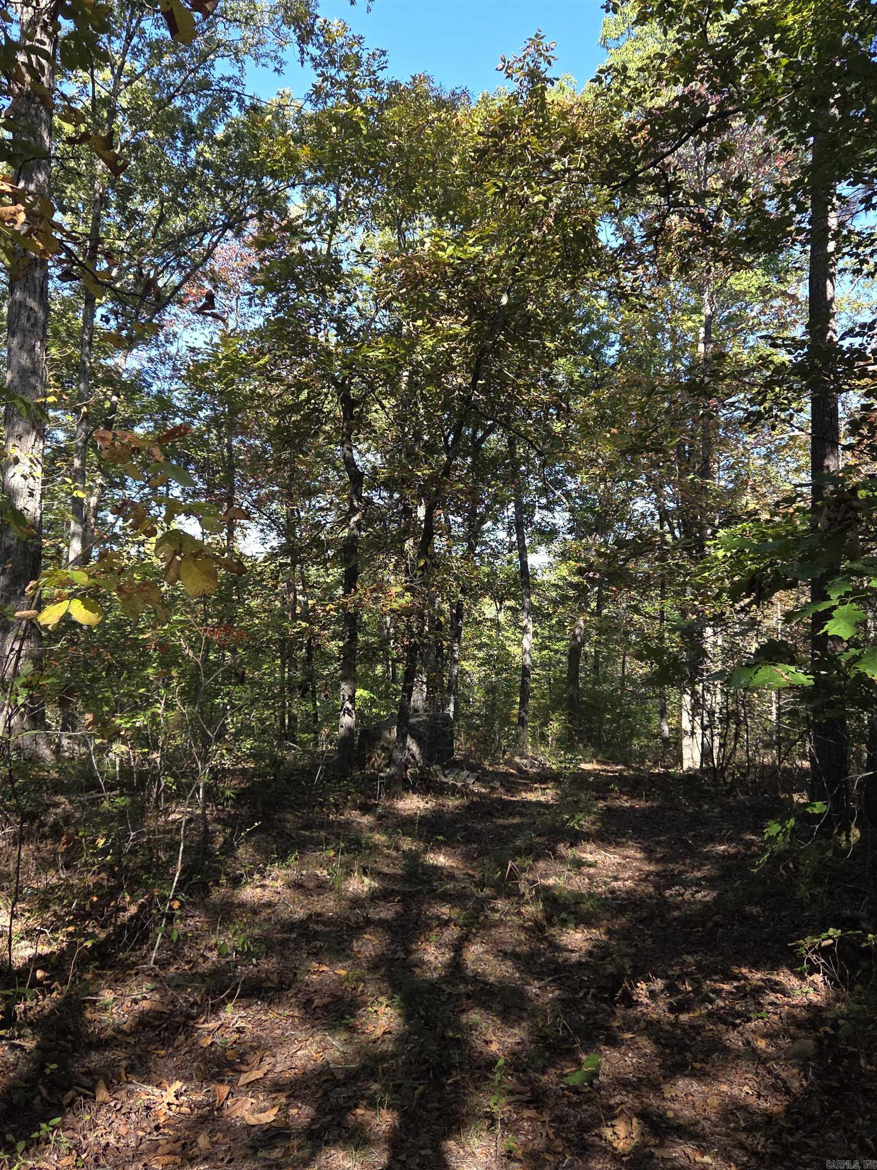 0 Karen  Dennard, AR