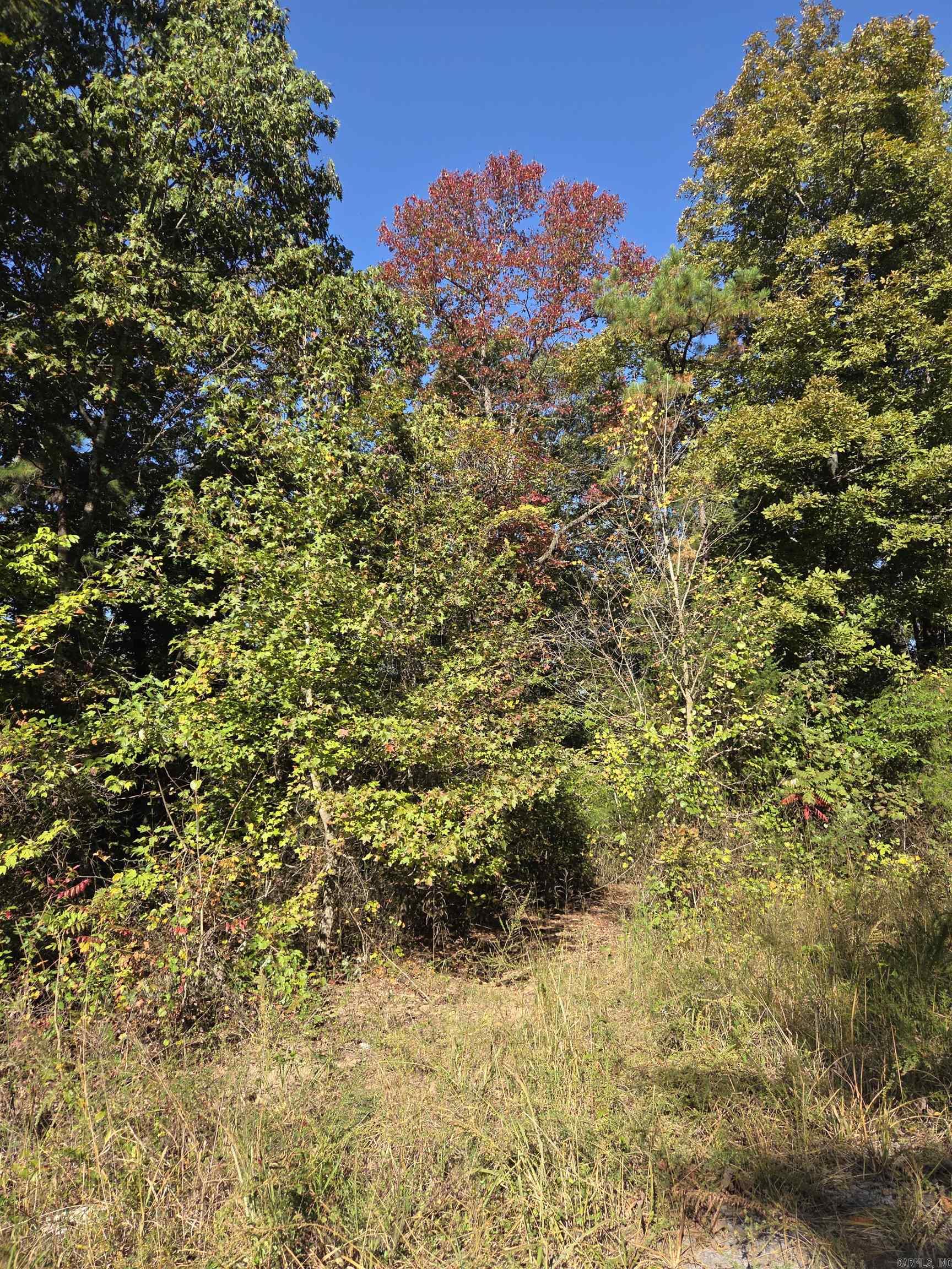 0 Karen  Dennard, AR