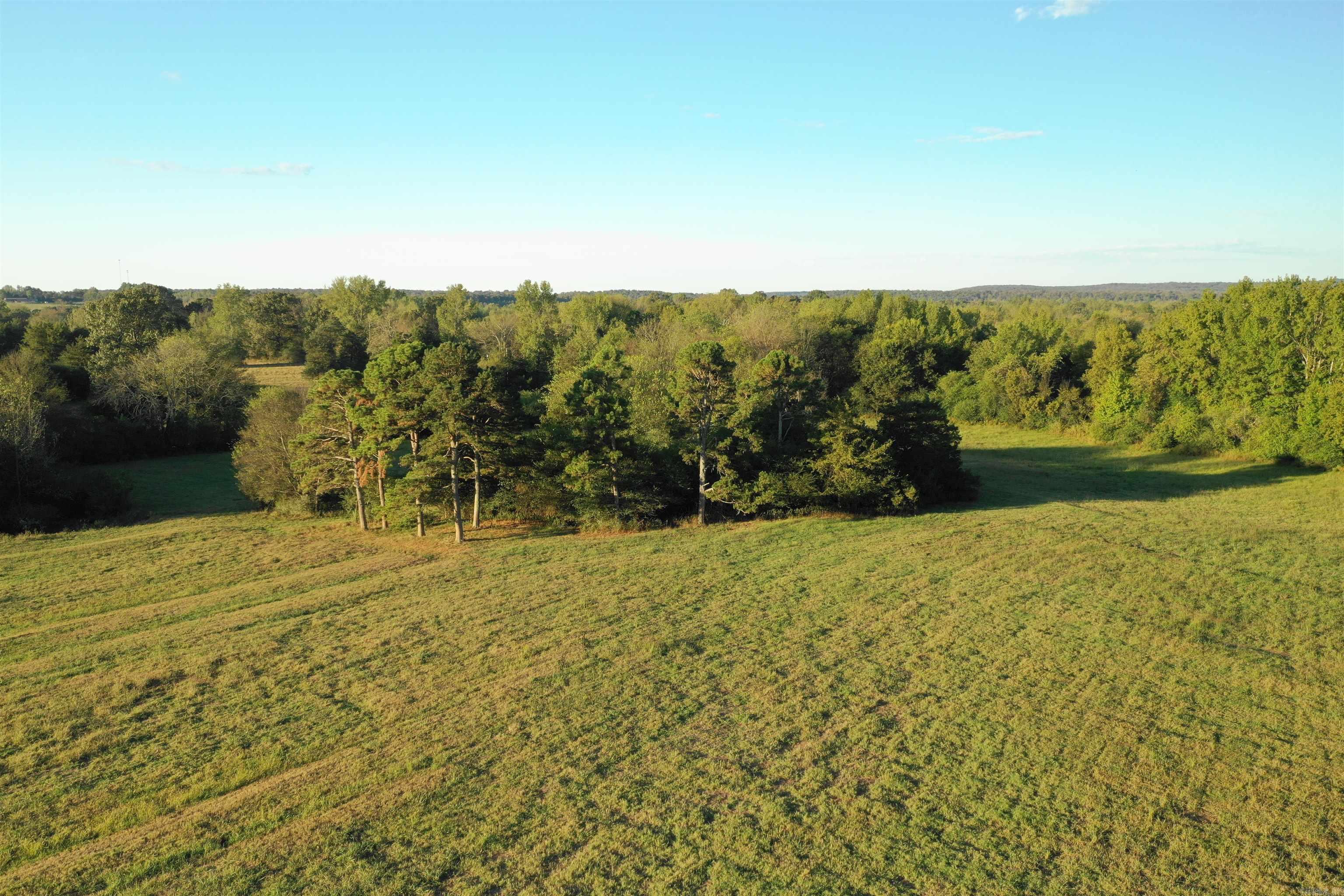 7890 Batesville Blvd  Pleasant Plains, AR