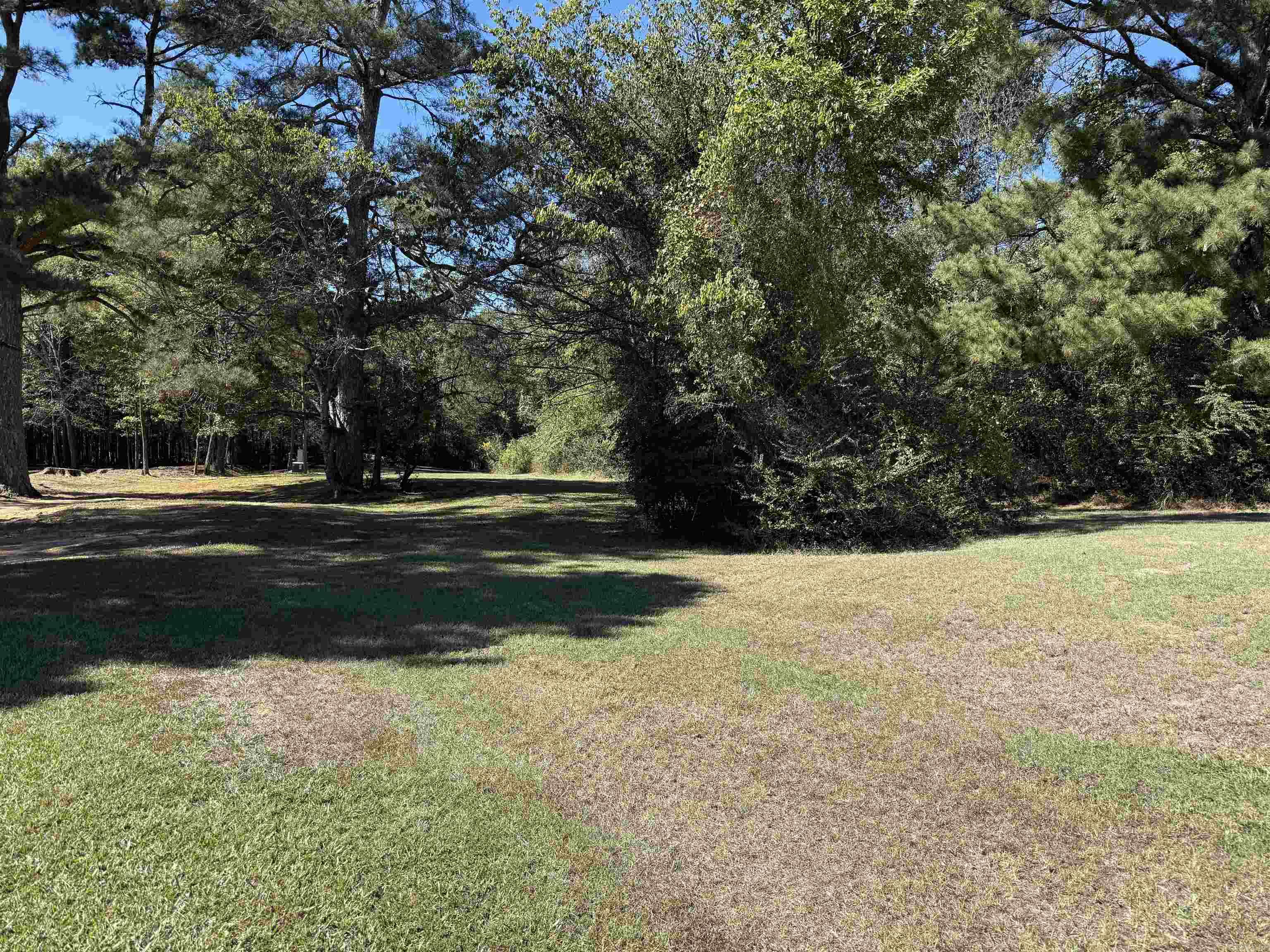 207 Hosey  Mineral Sprs., AR