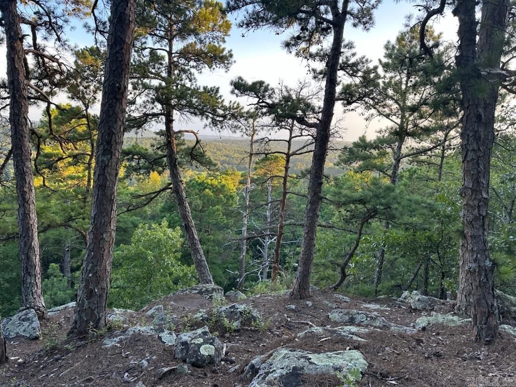 21219 Unicorn  Roland, AR