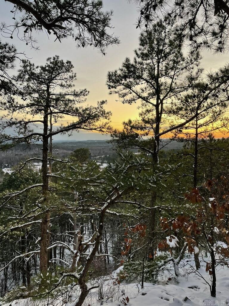 21219 Unicorn  Roland, AR