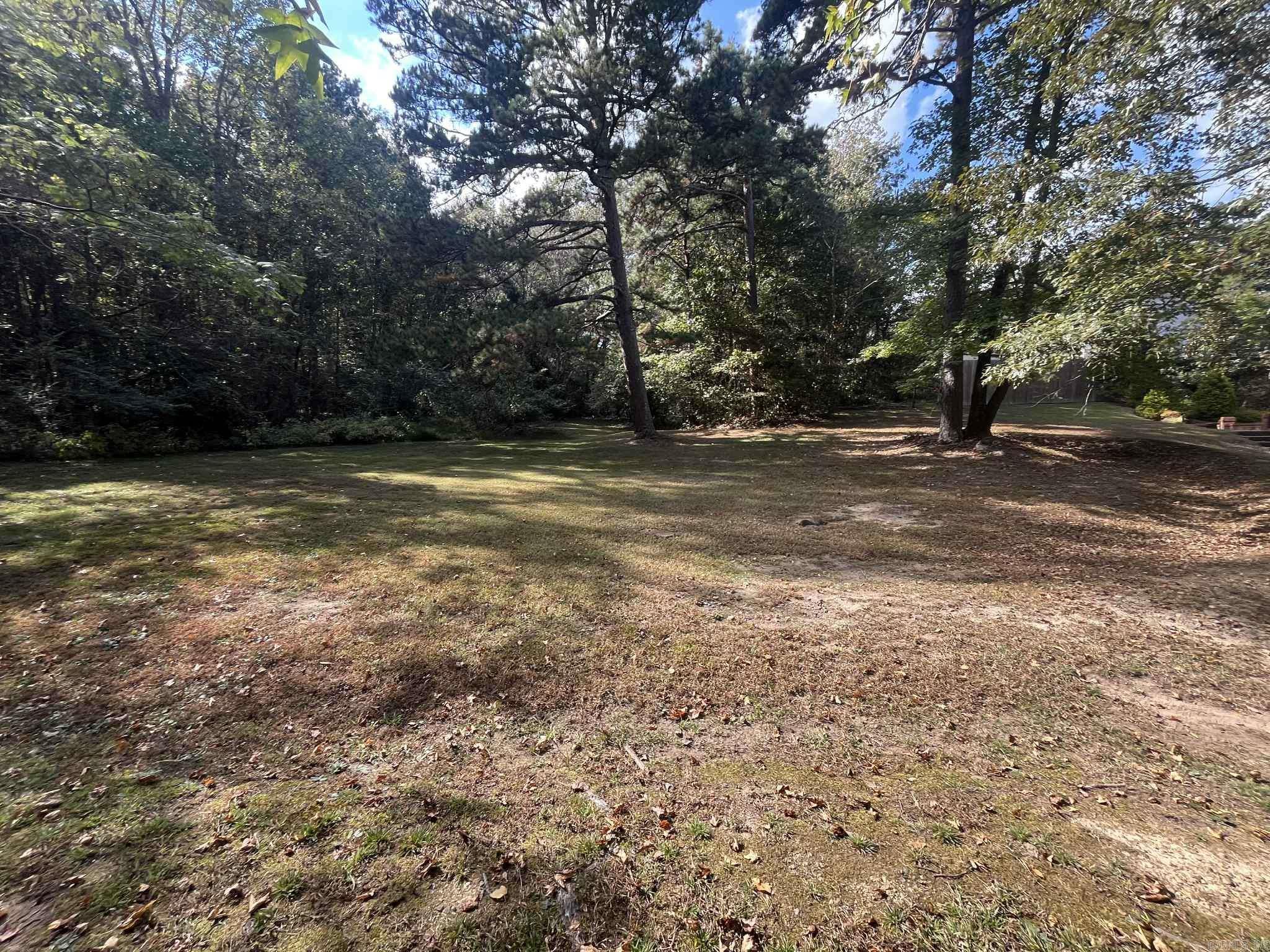 1407 Mena St. Mena, AR 71953