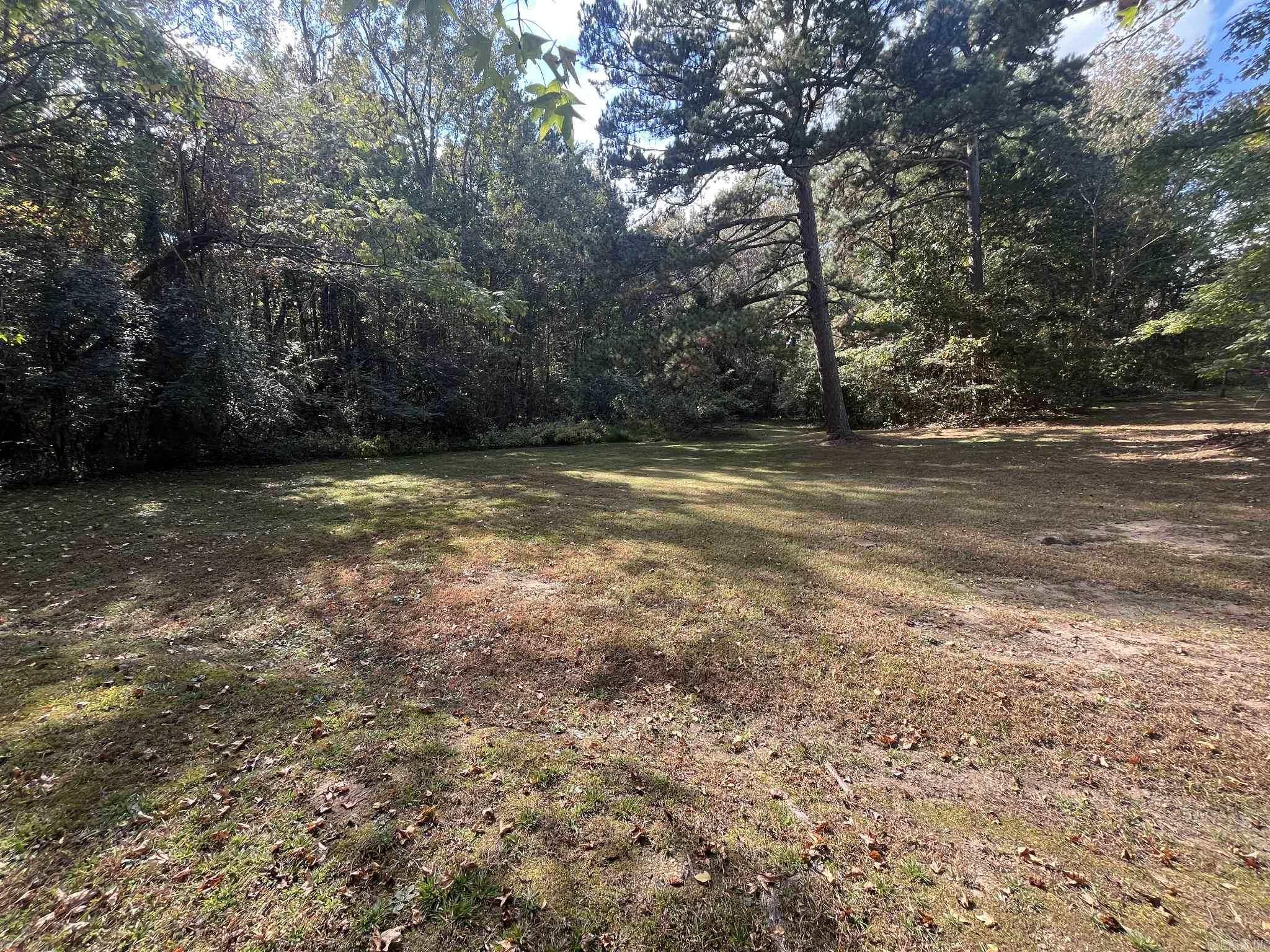 1407 Mena St. Mena, AR 71953