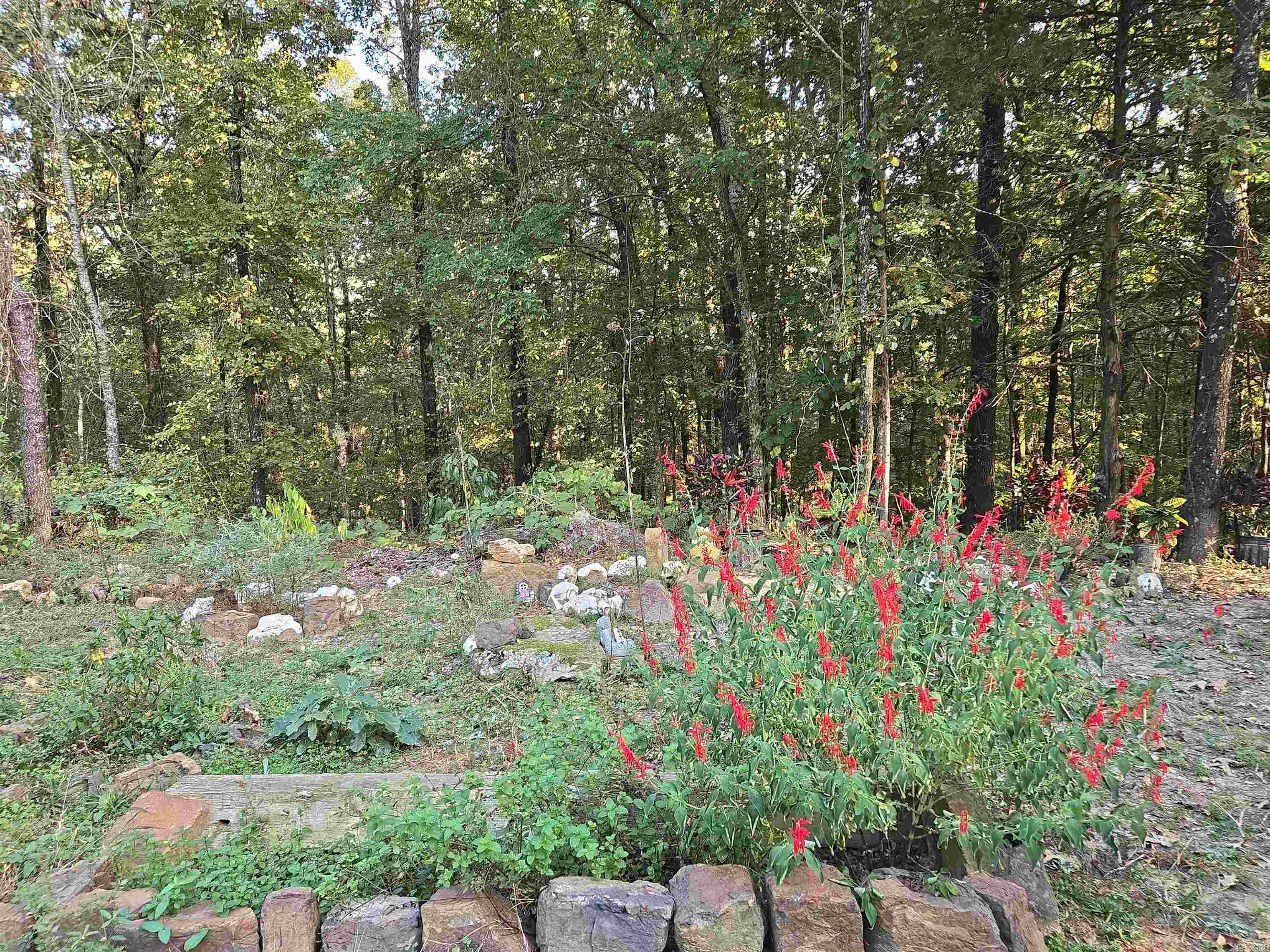 313 Bobbits  Clinton, AR