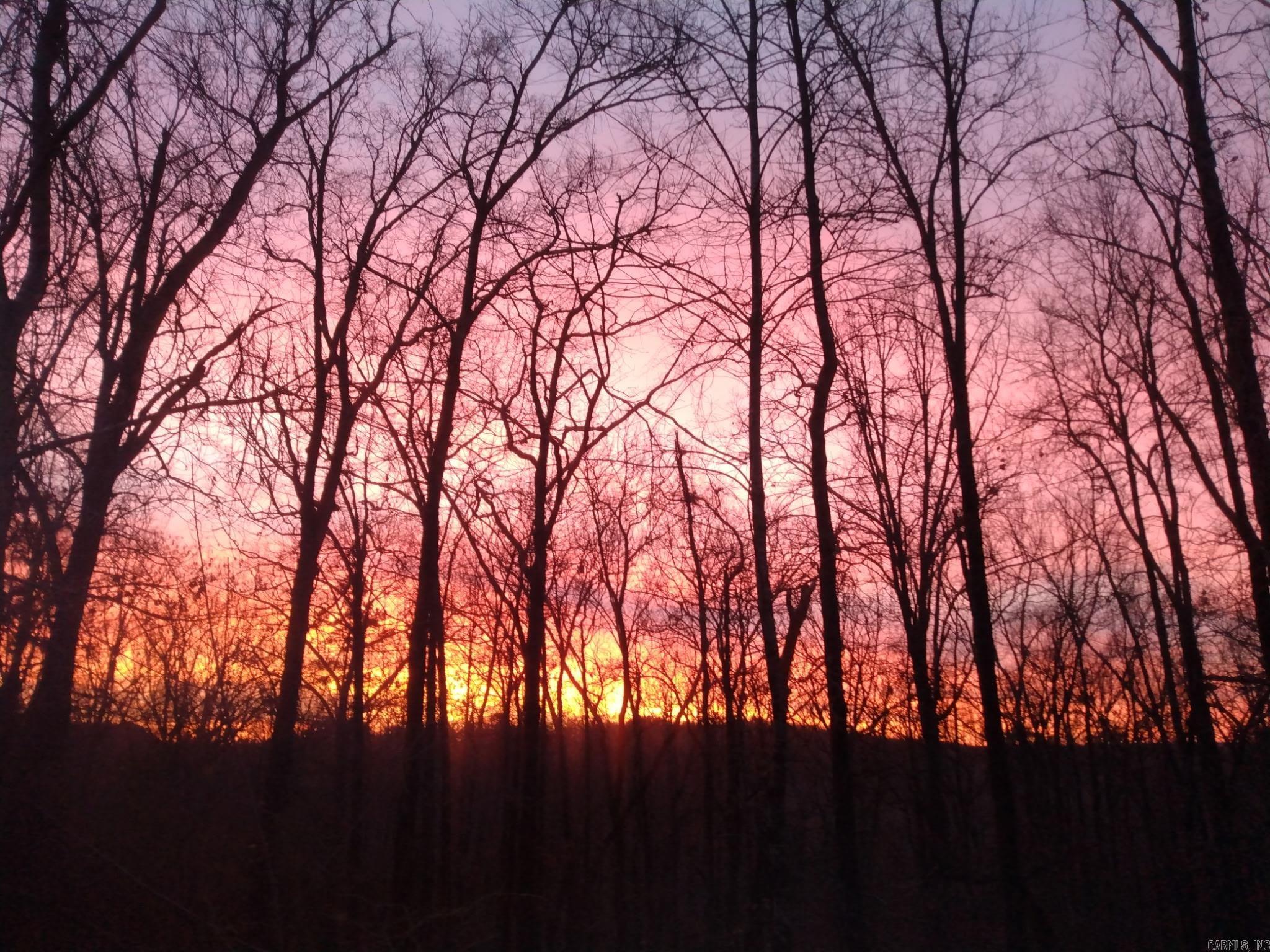 313 Bobbits  Clinton, AR