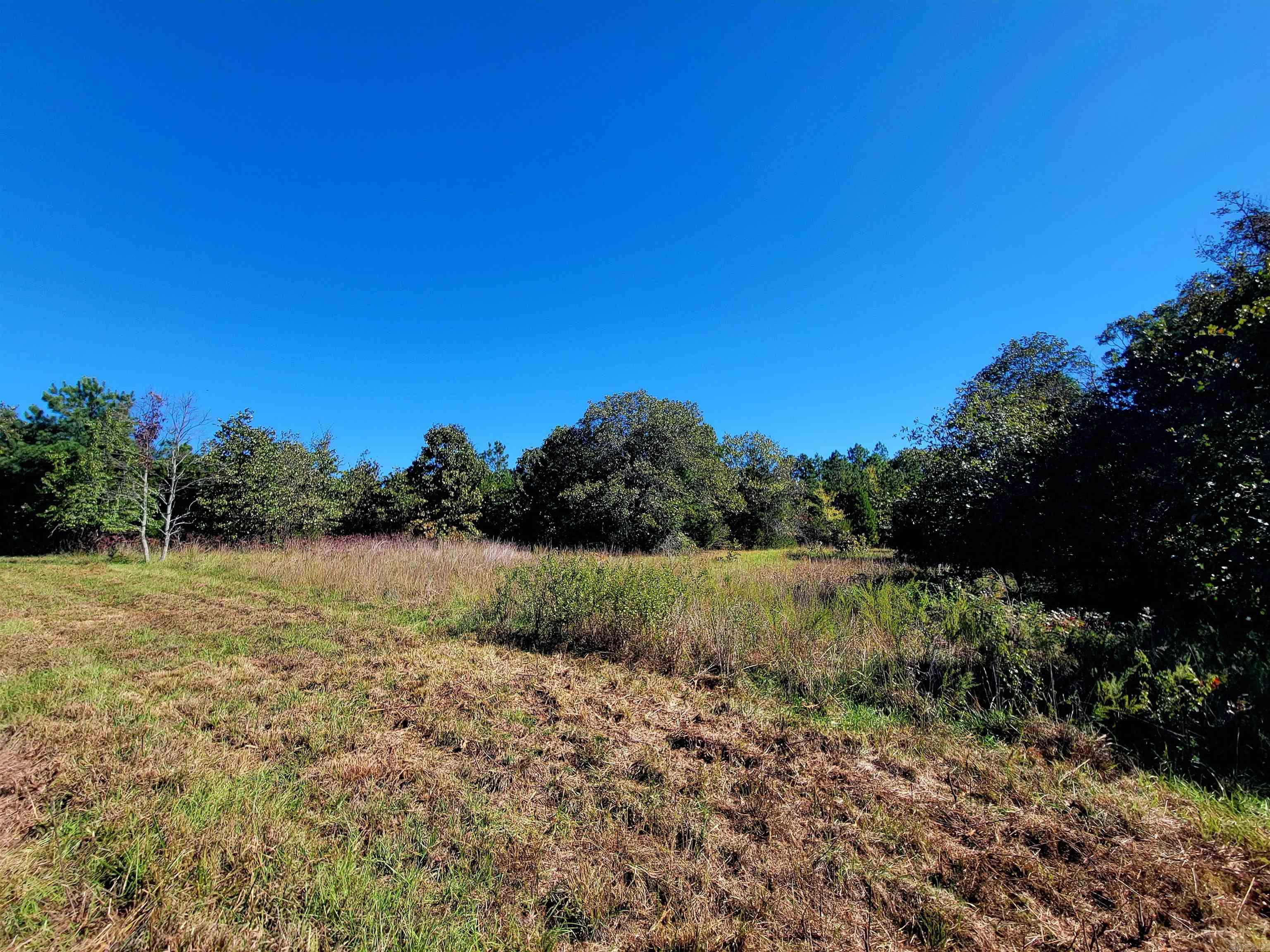 000 Odom Pt Rd  Bee Branch, AR