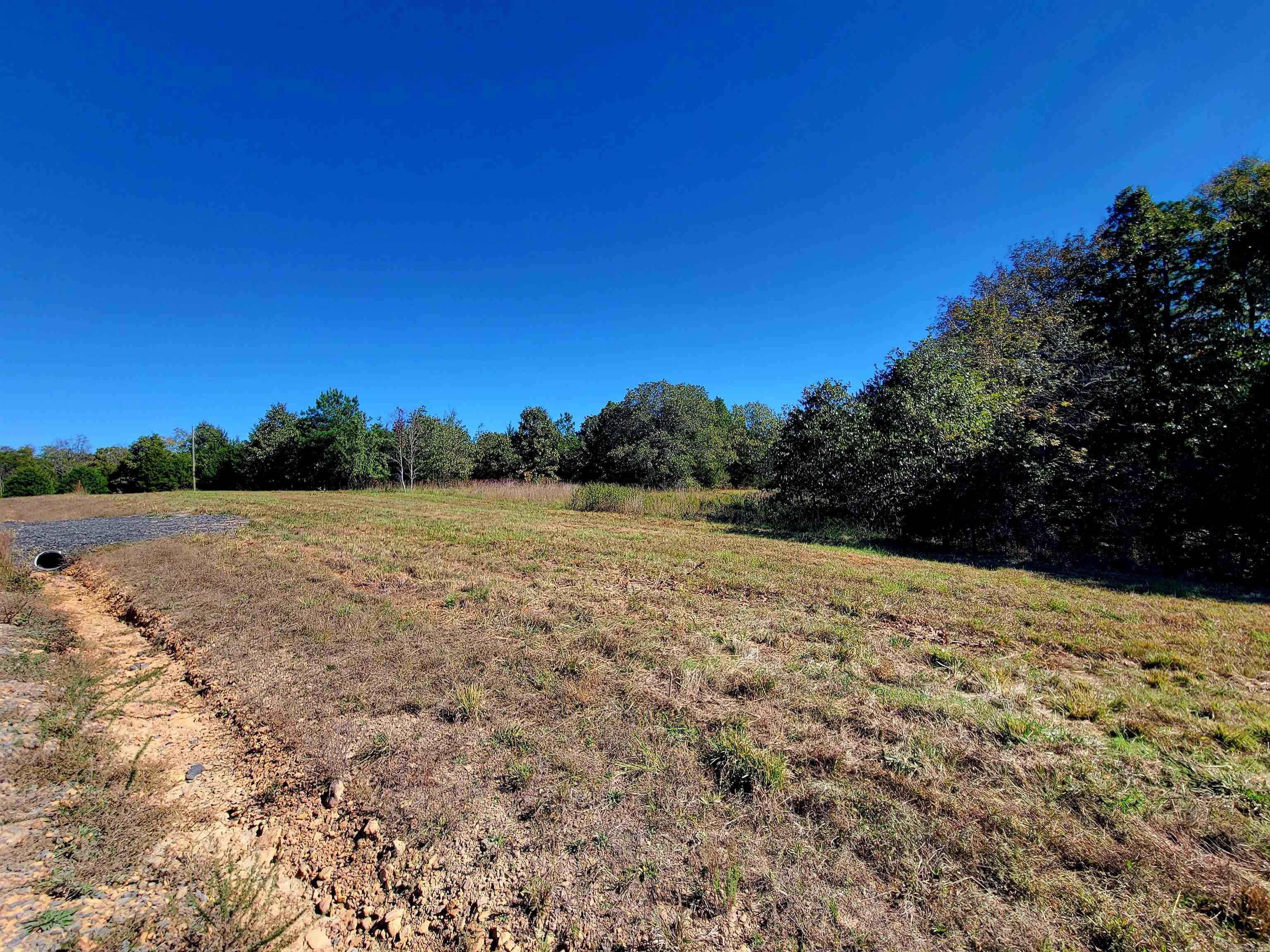 000 Odom Pt Rd  Bee Branch, AR