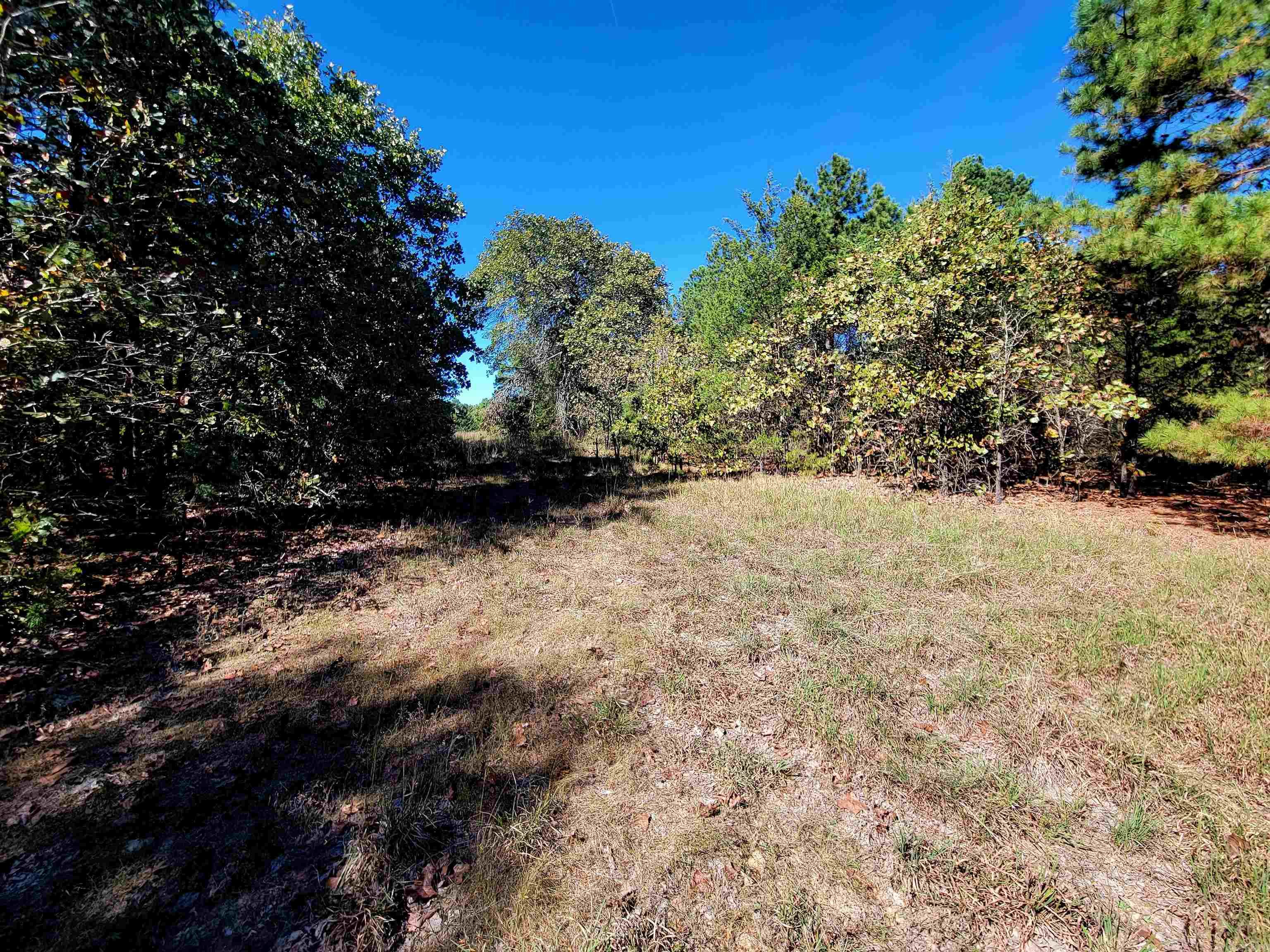 000 Odom Pt Rd  Bee Branch, AR