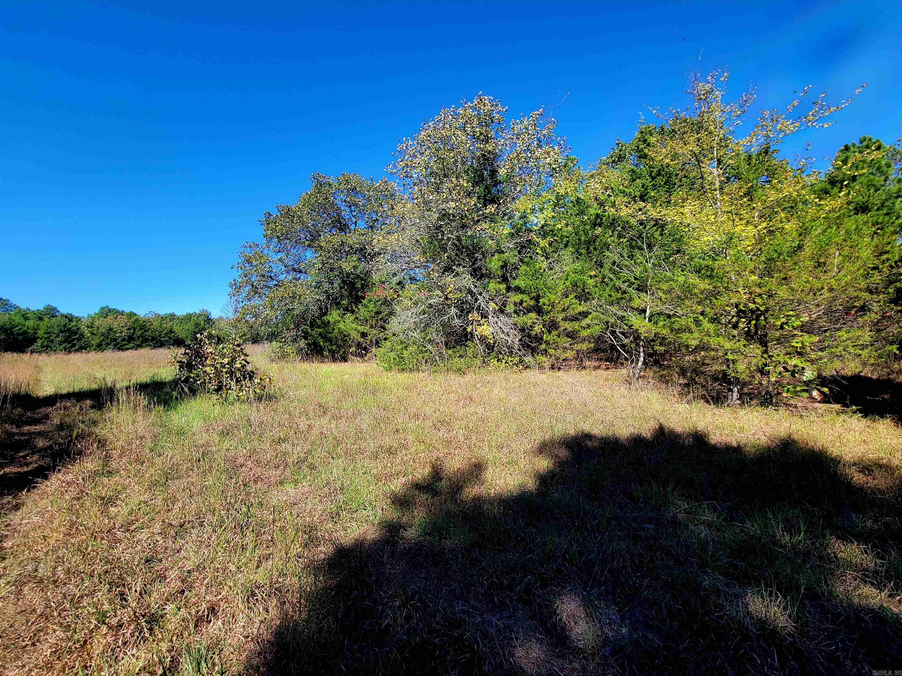 000 Odom Pt Rd  Bee Branch, AR