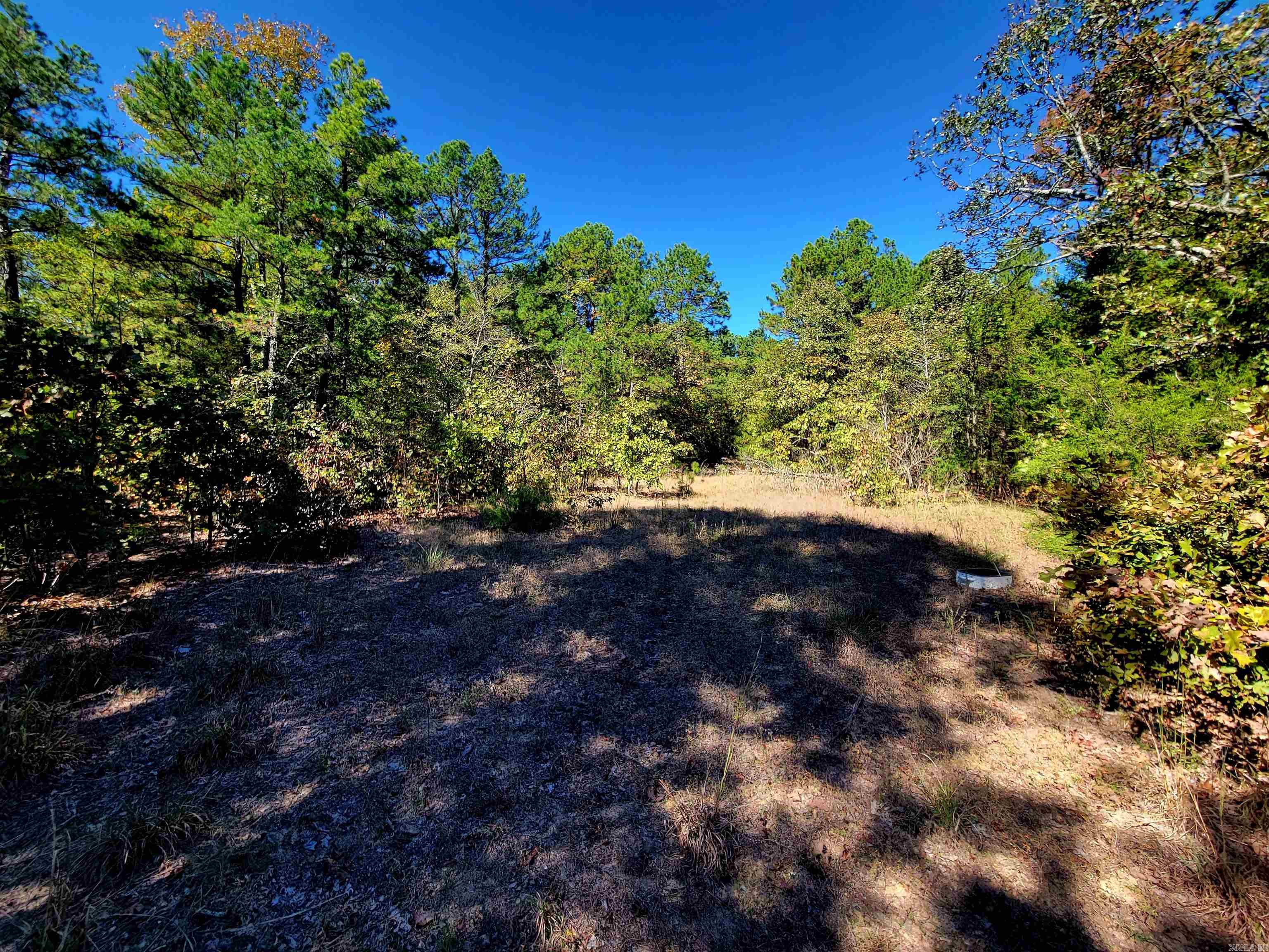 000 Odom Pt Rd  Bee Branch, AR