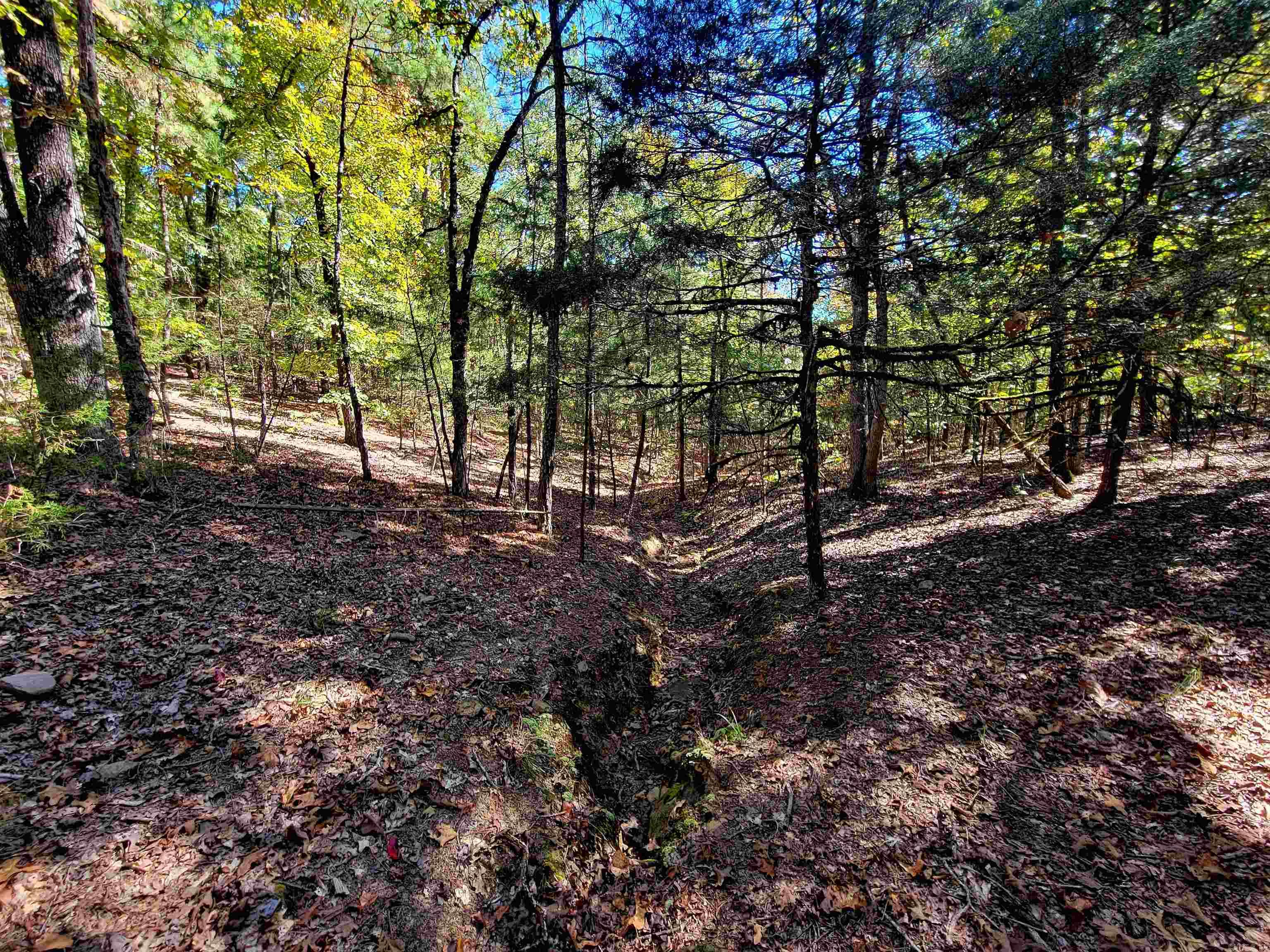 000 Odom Pt Rd  Bee Branch, AR