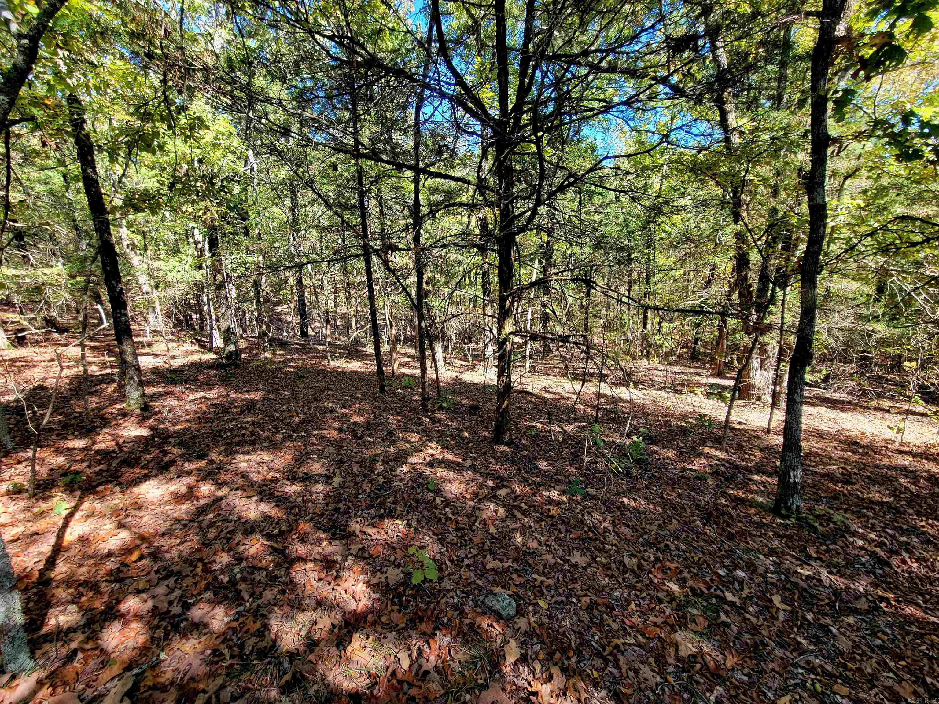 000 Odom Pt Rd  Bee Branch, AR