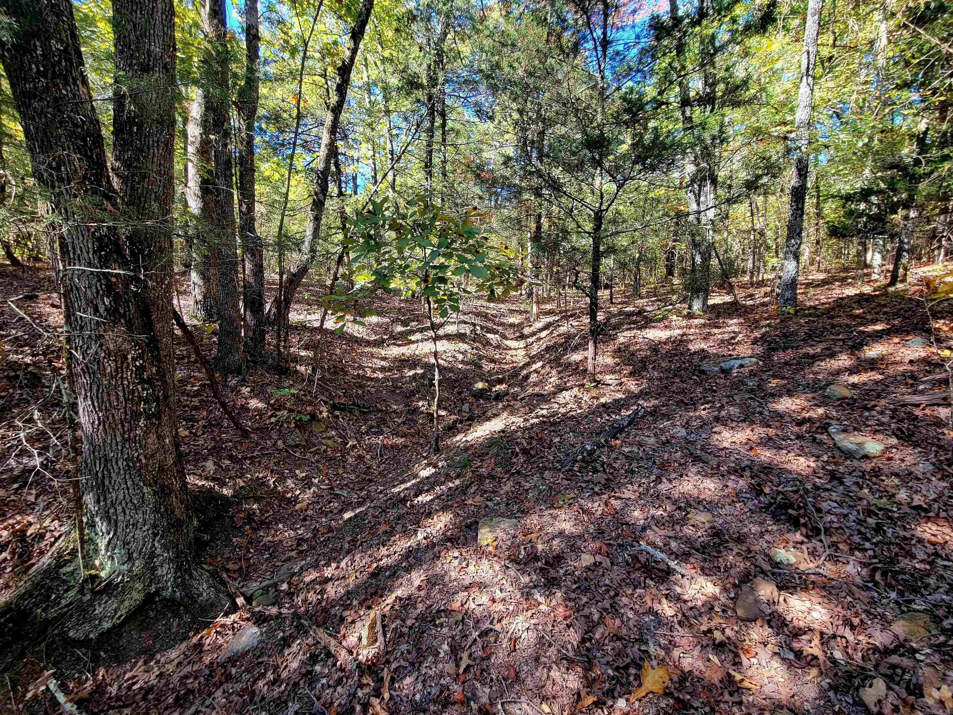 000 Odom Pt Rd  Bee Branch, AR