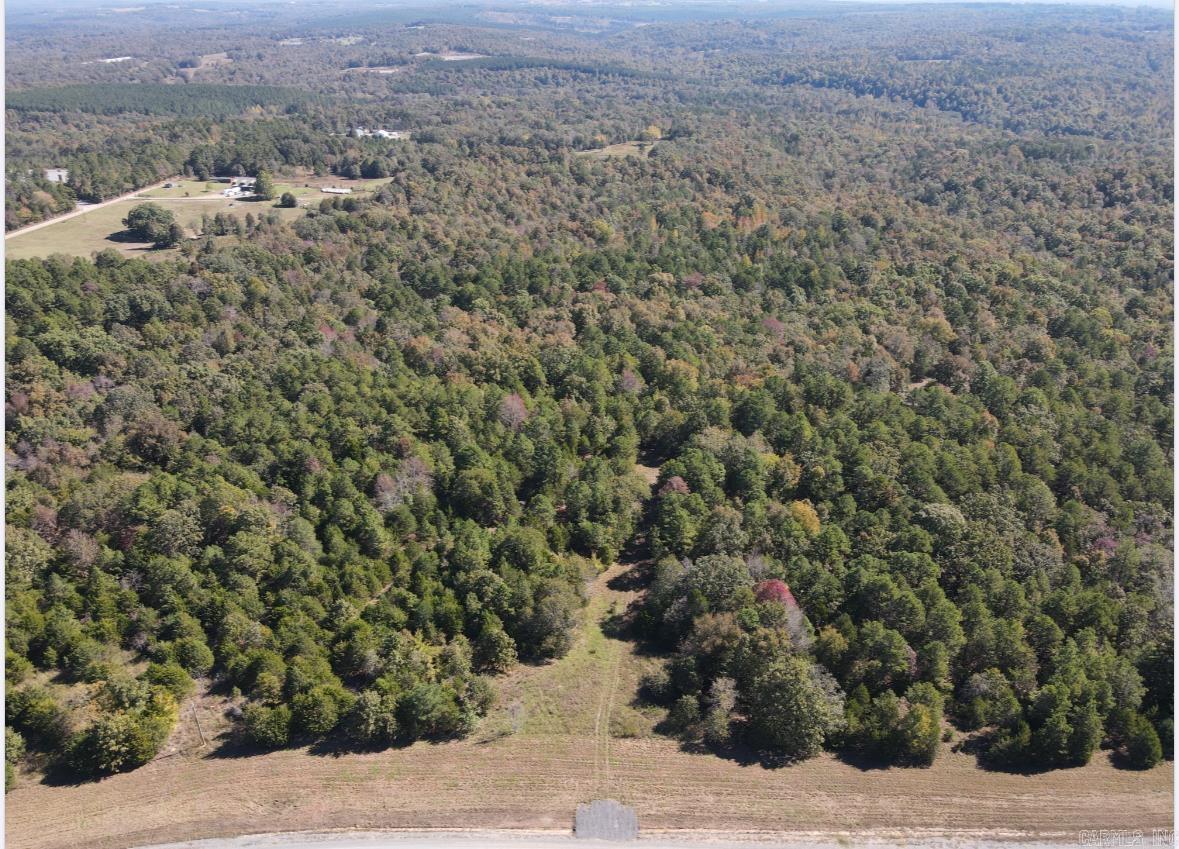 000 Odom Pt Rd  Bee Branch, AR