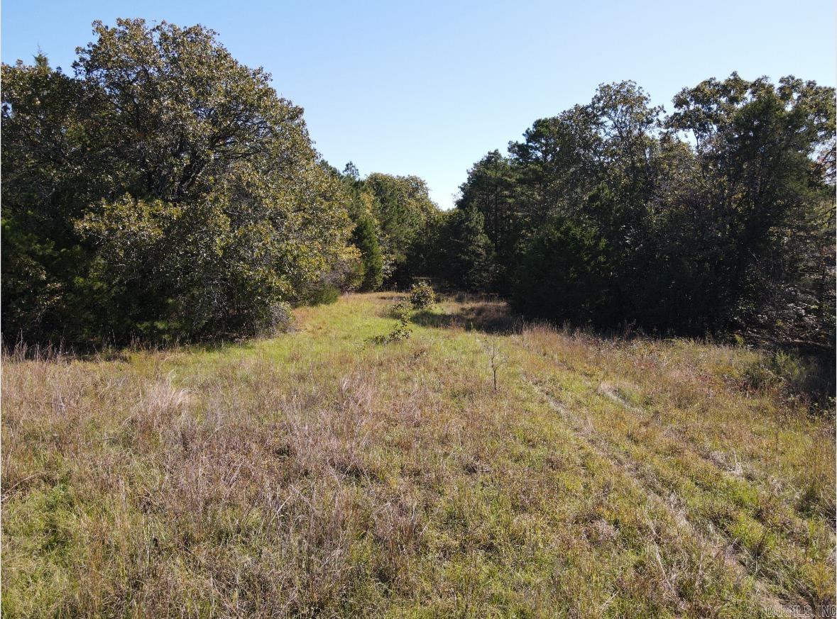 000 Odom Pt Rd  Bee Branch, AR