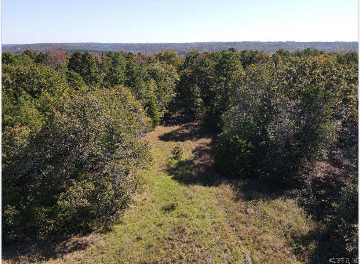 000 Odom Pt Rd  Bee Branch, AR