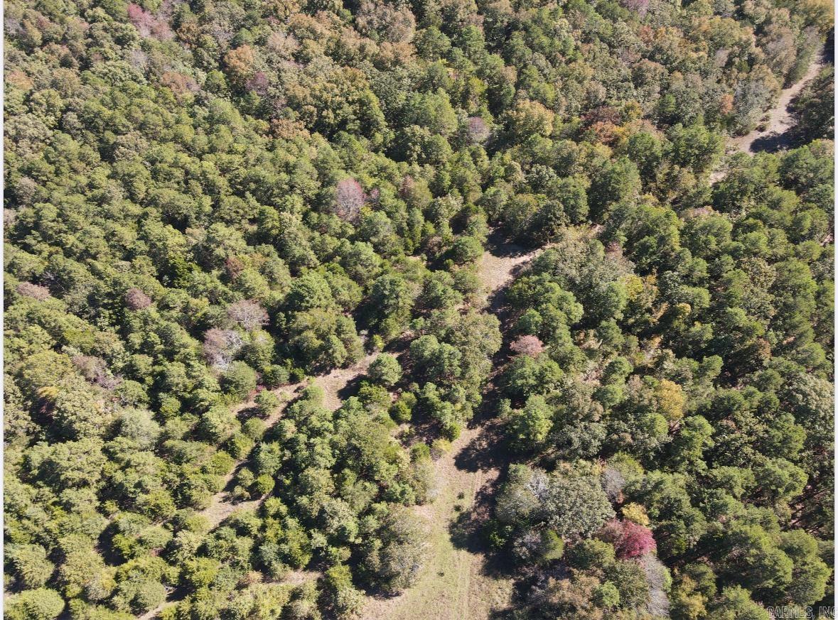 000 Odom Pt Rd  Bee Branch, AR