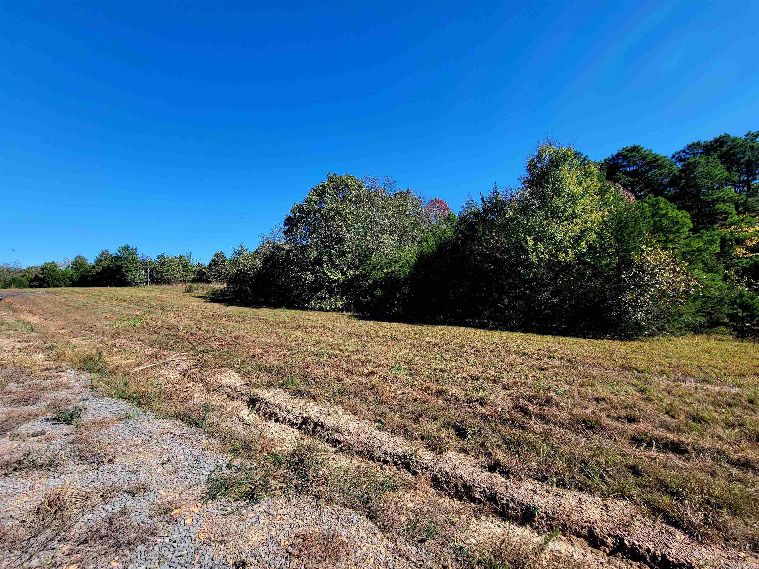 000 Odom Pt Rd  Bee Branch, AR