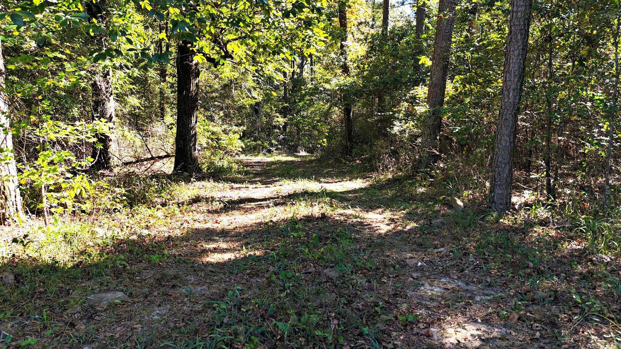 XXX Polk Road 40  Hatfield, AR