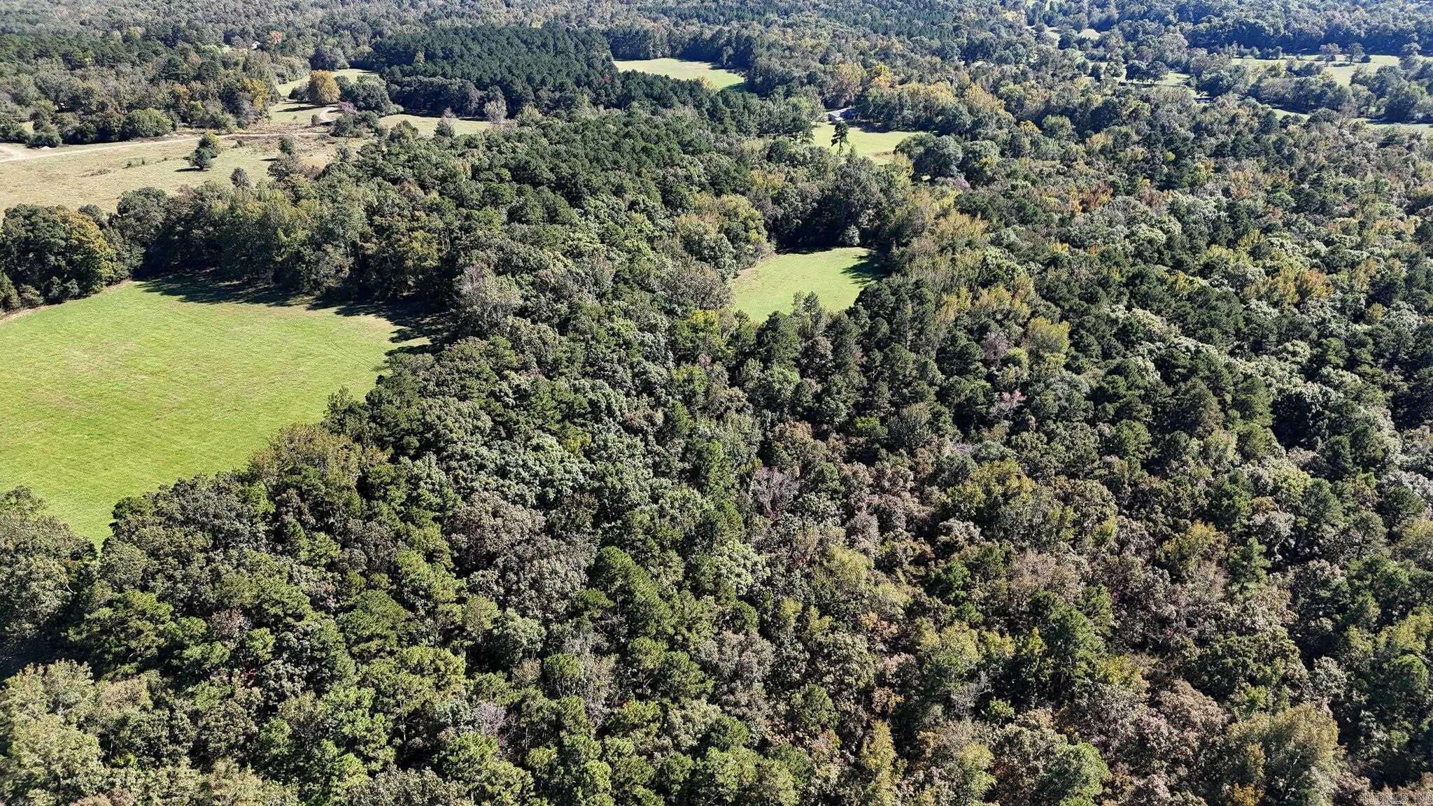 XXX Polk Road 40  Hatfield, AR