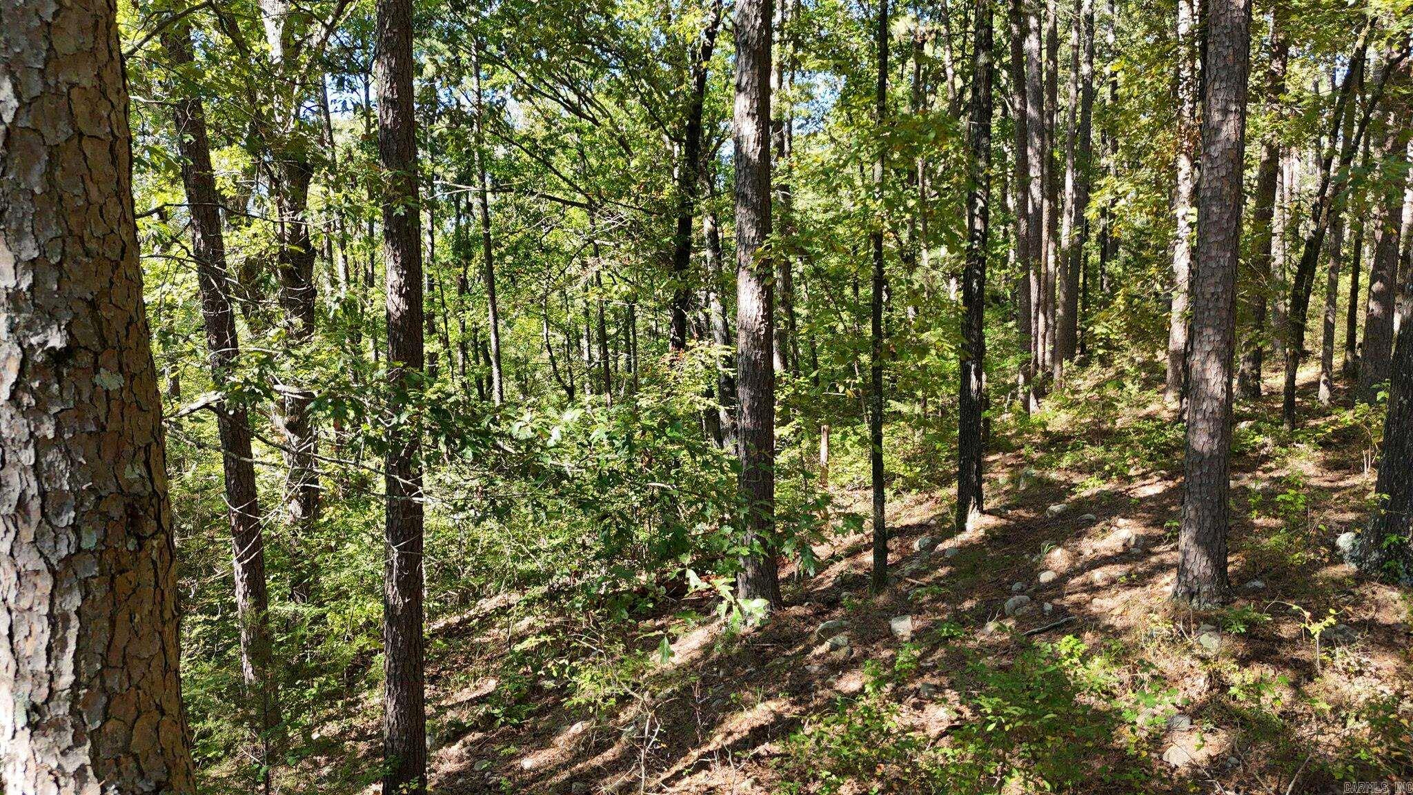 XXX Polk Road 40  Hatfield, AR