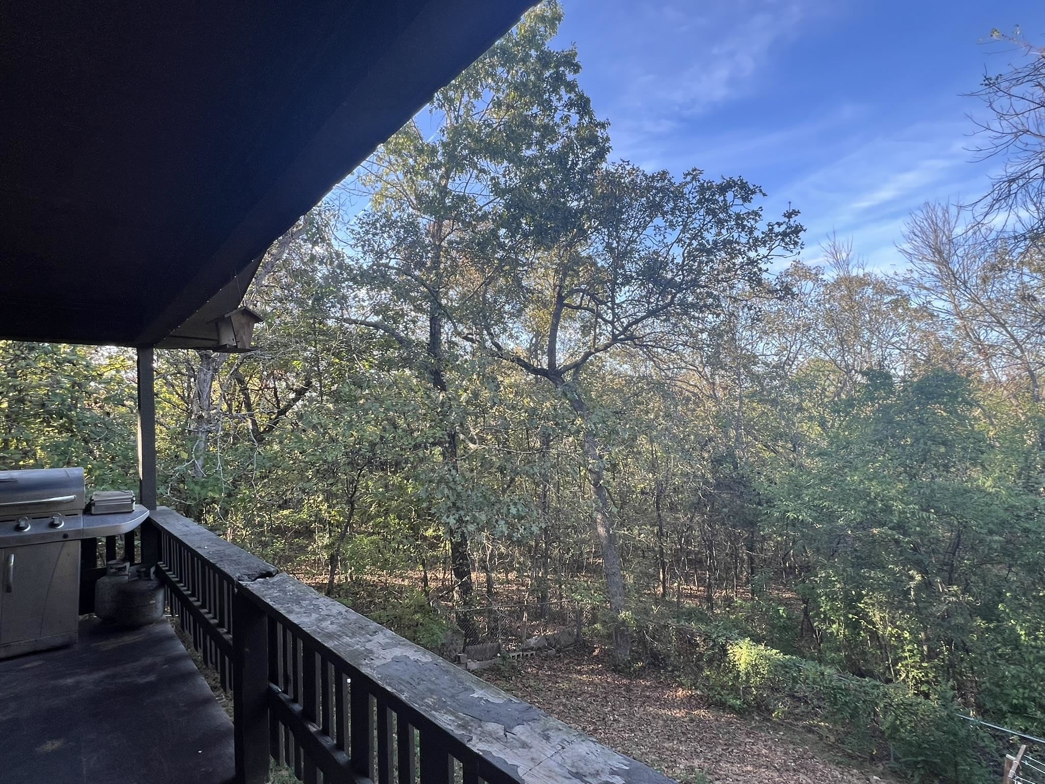 129 Wahoo Dr  Cherokee Village, AR