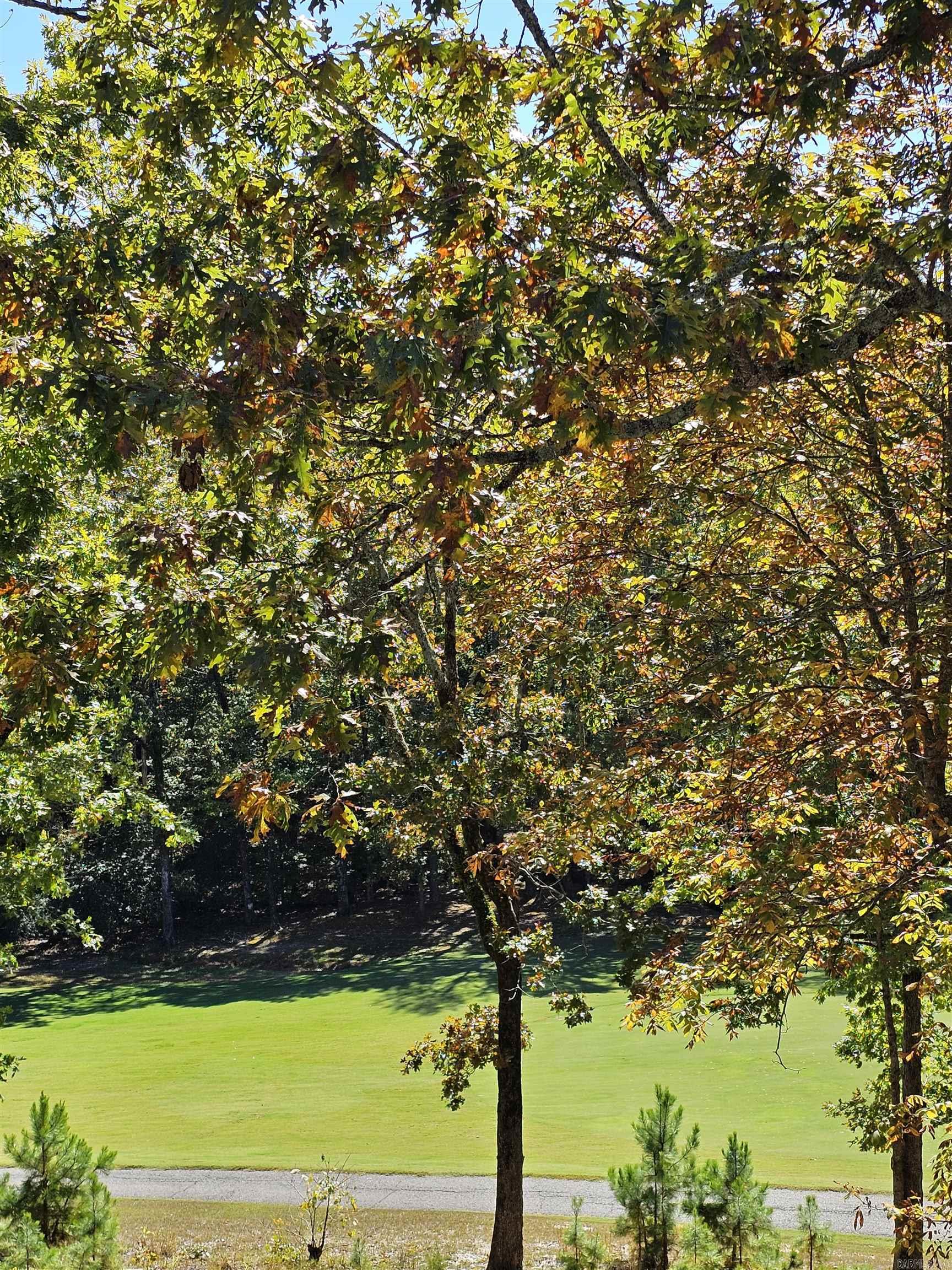 8 Navegar Trace  Hot Springs Village, AR