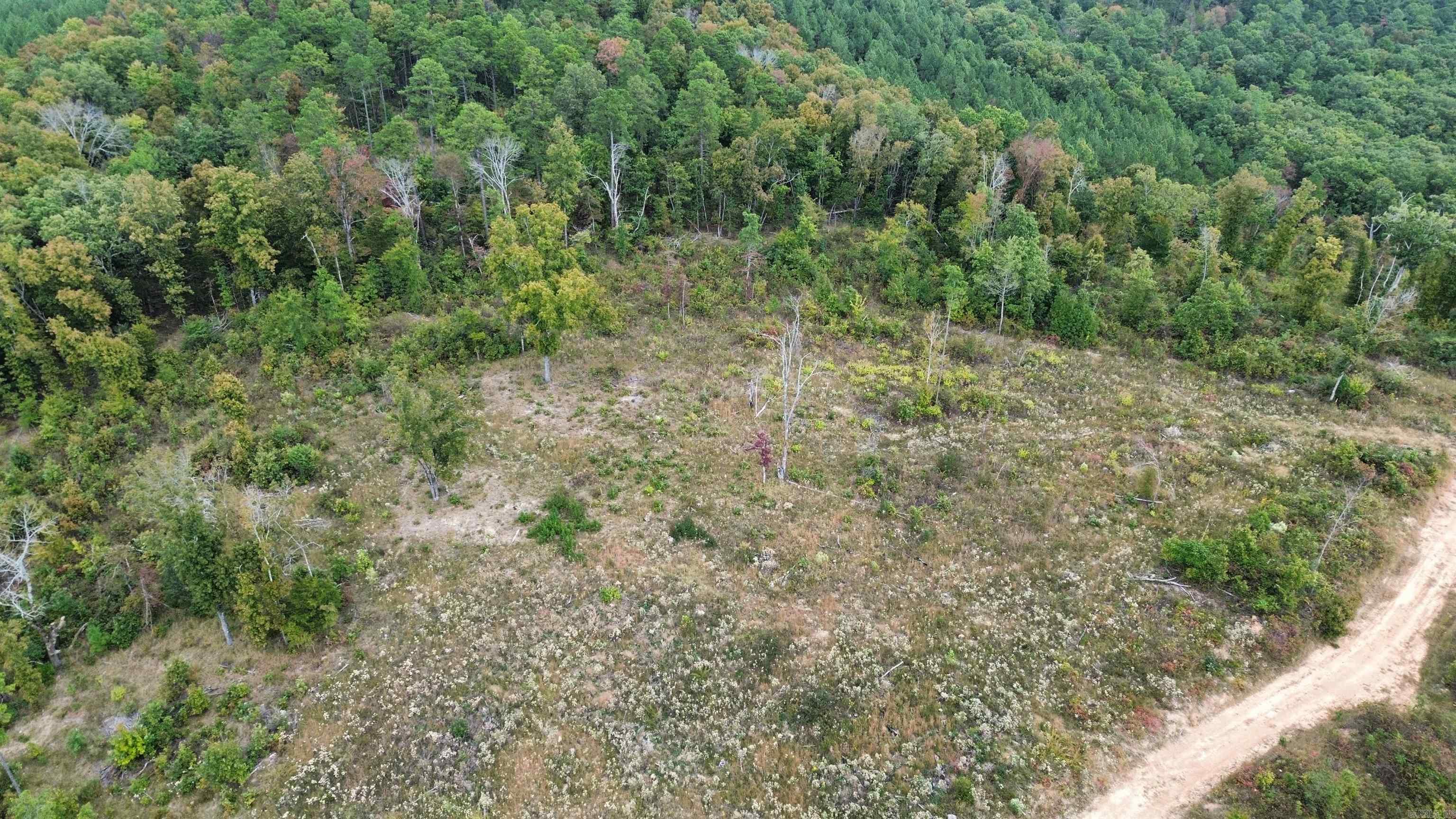 0001 Dodd Mountain  Shirley, AR