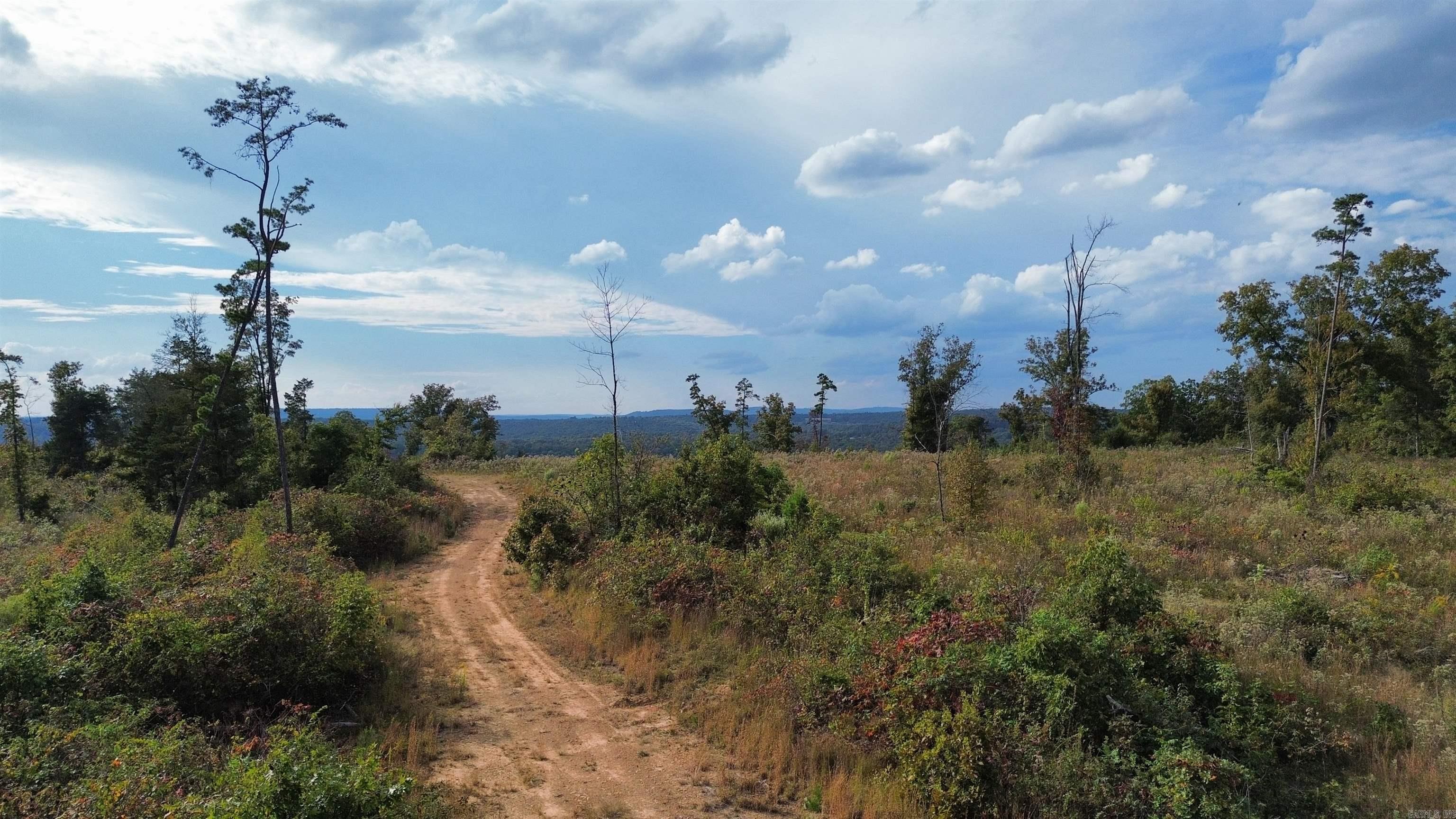 0001 Dodd Mountain  Shirley, AR