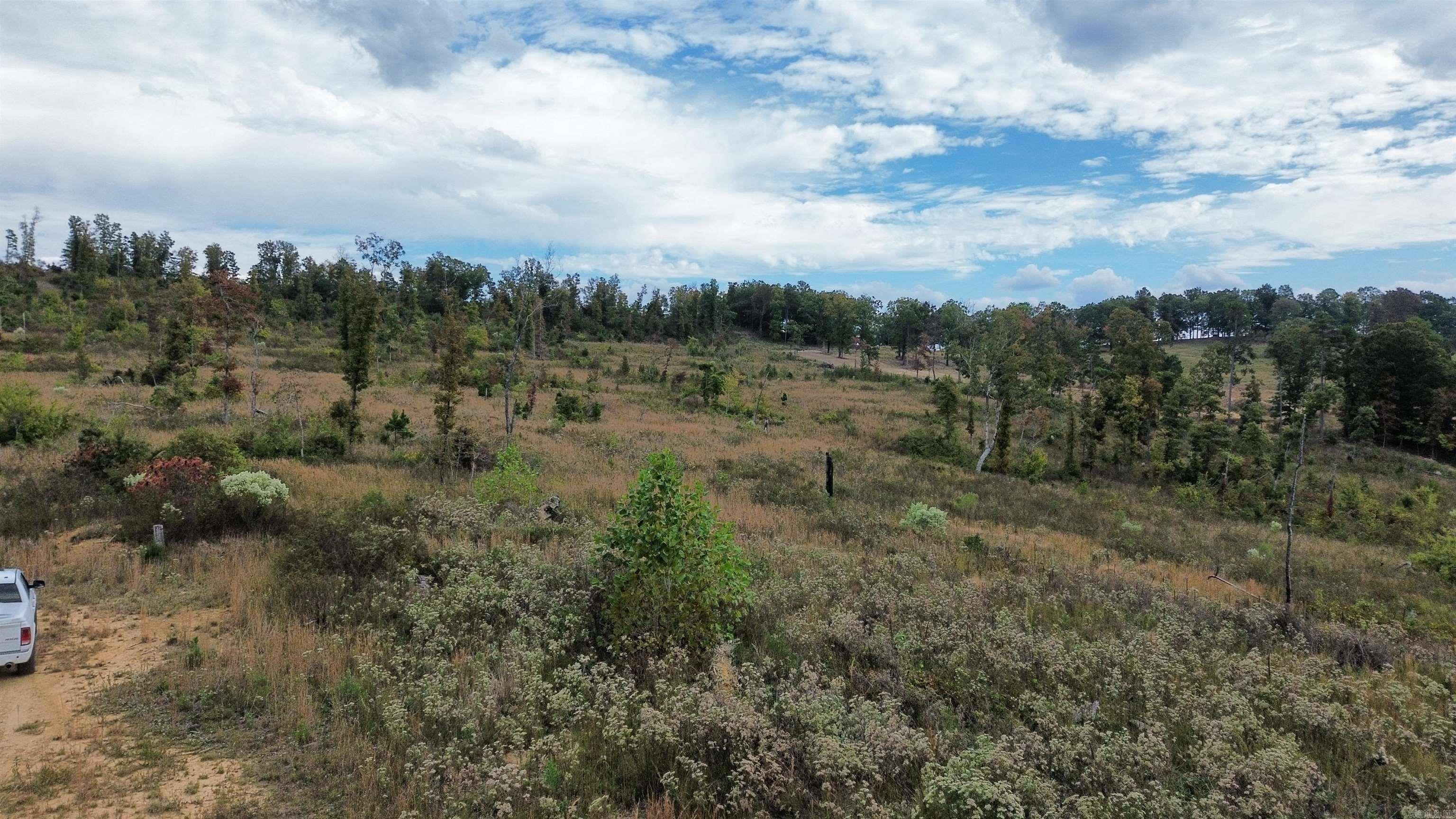 0001 Dodd Mountain  Shirley, AR