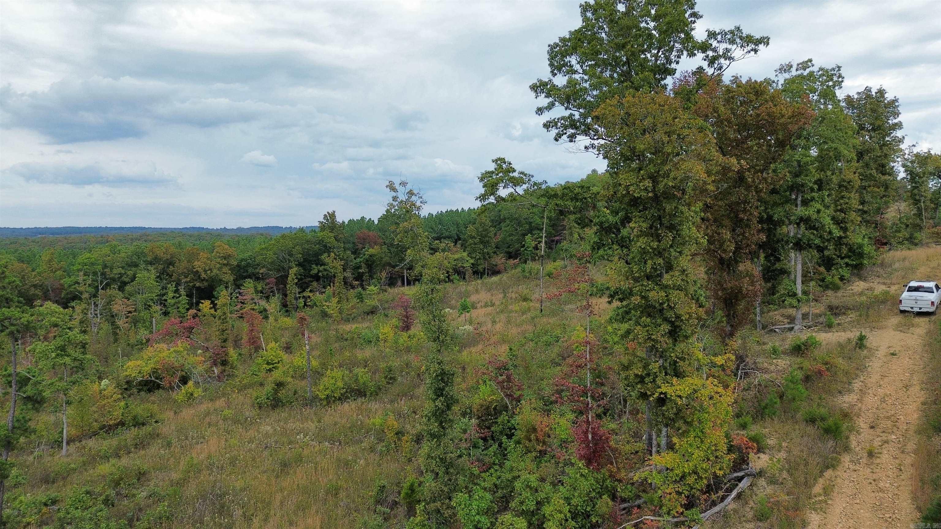 0001 Dodd Mountain  Shirley, AR