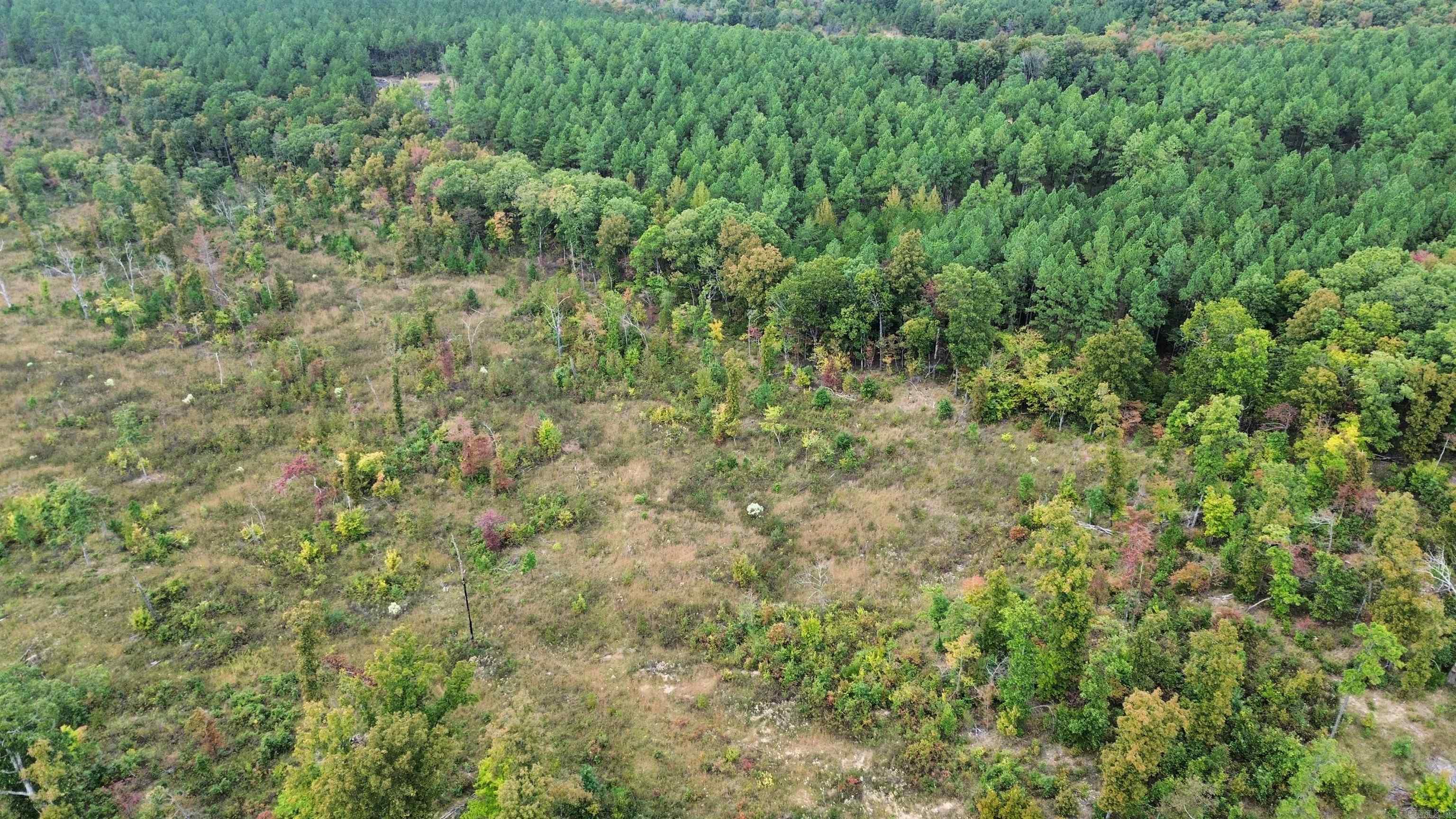 0001 Dodd Mountain  Shirley, AR