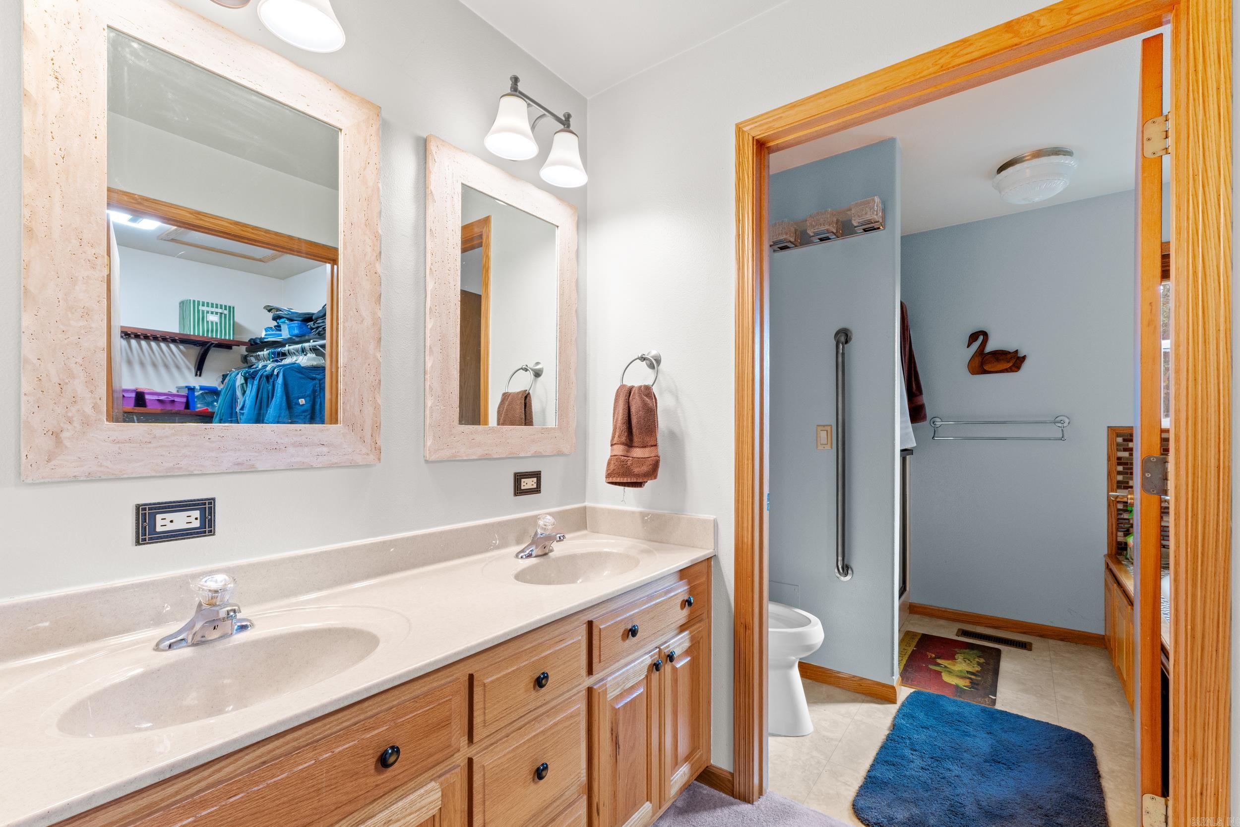 311 CR 804 Gamaliel, AR 72637