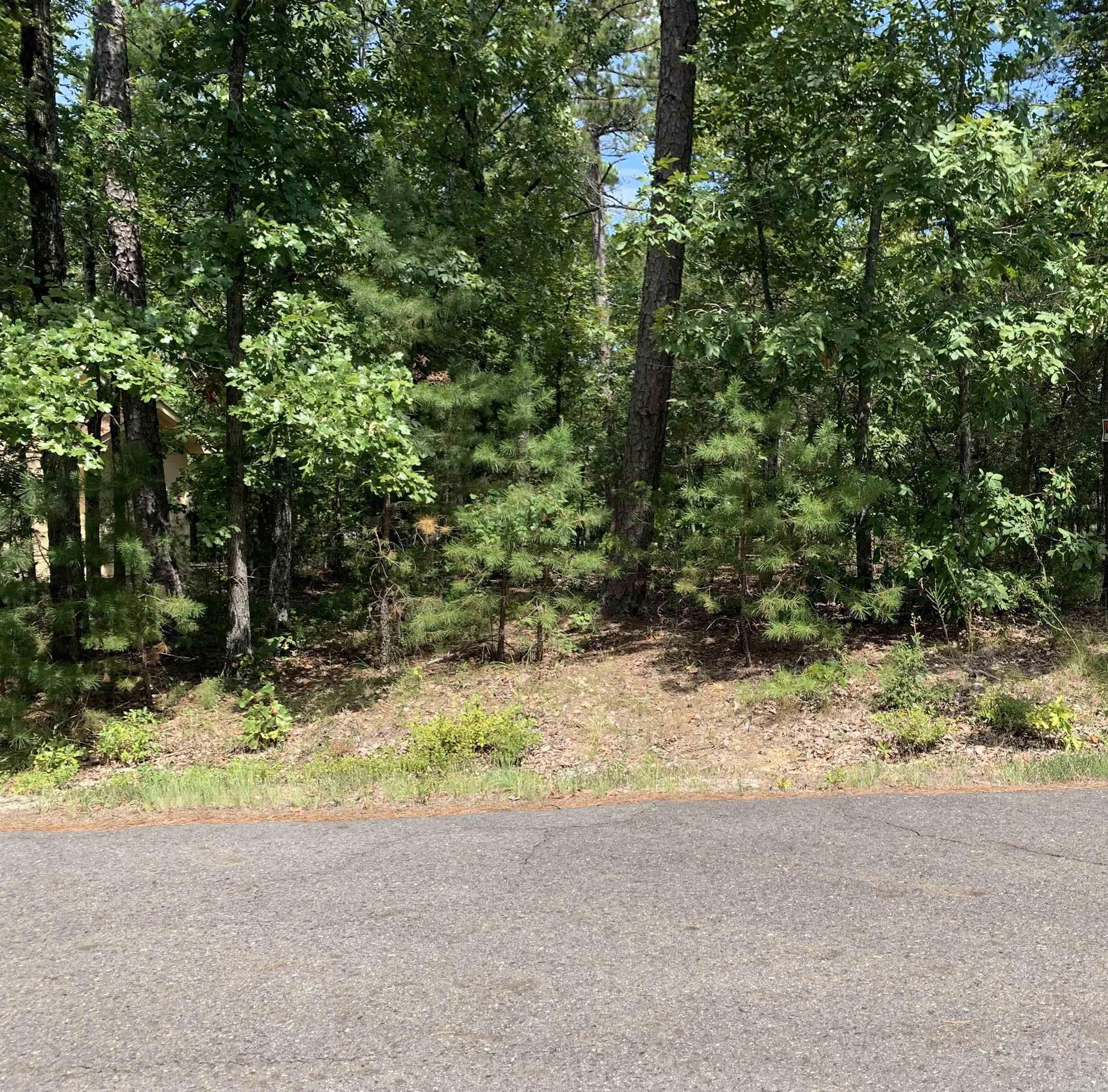 15 Promesa  Hot Springs Village, AR