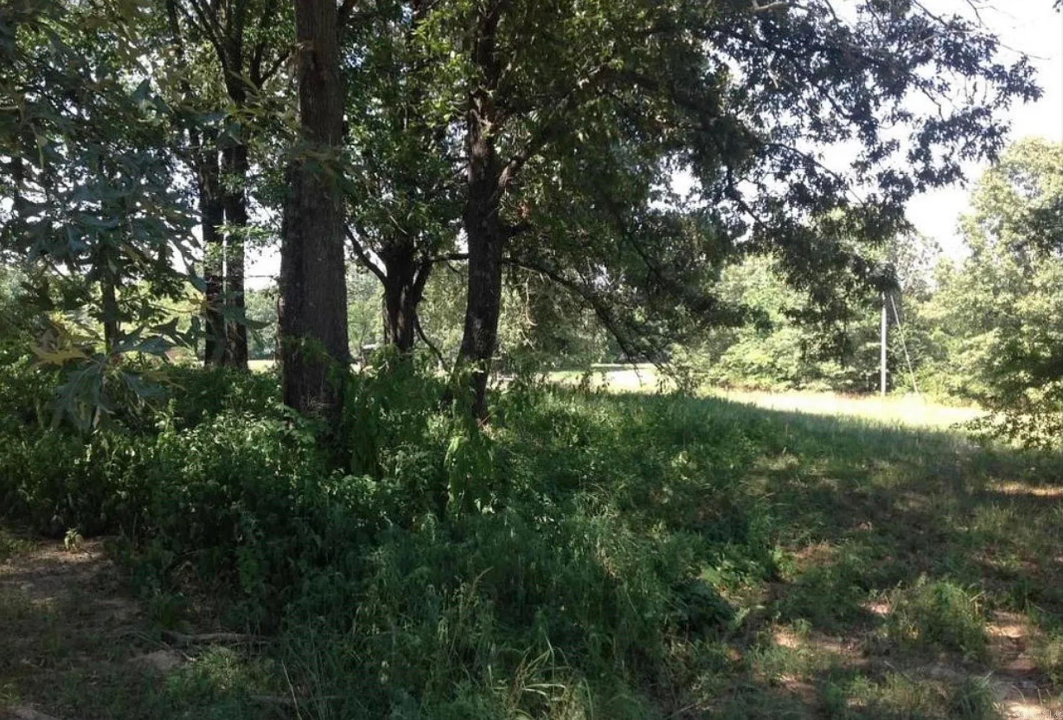 418 Lawrence County  Strawberry, AR