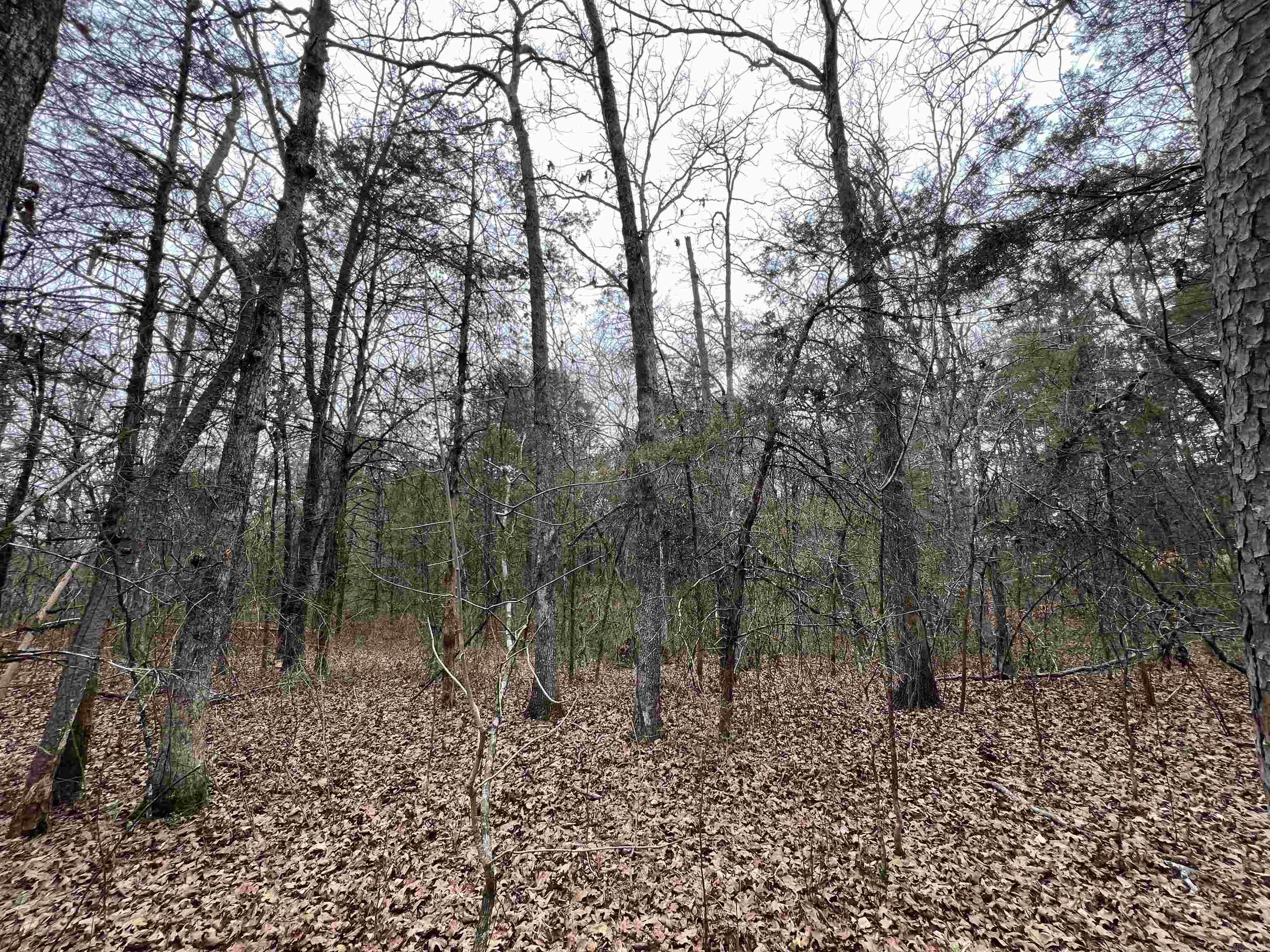 433 Cody Dr  Clinton, AR