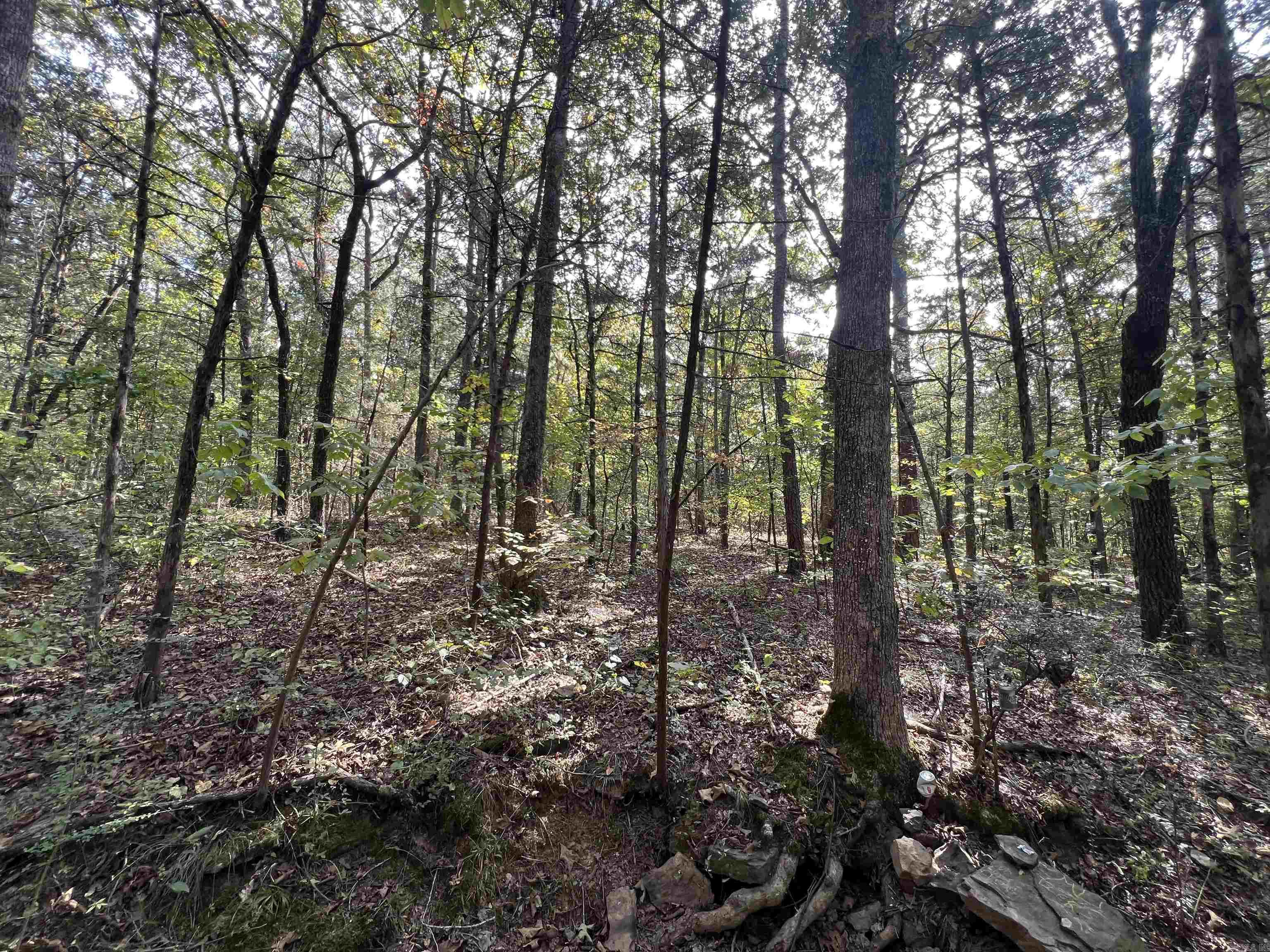 433 Cody Dr  Clinton, AR