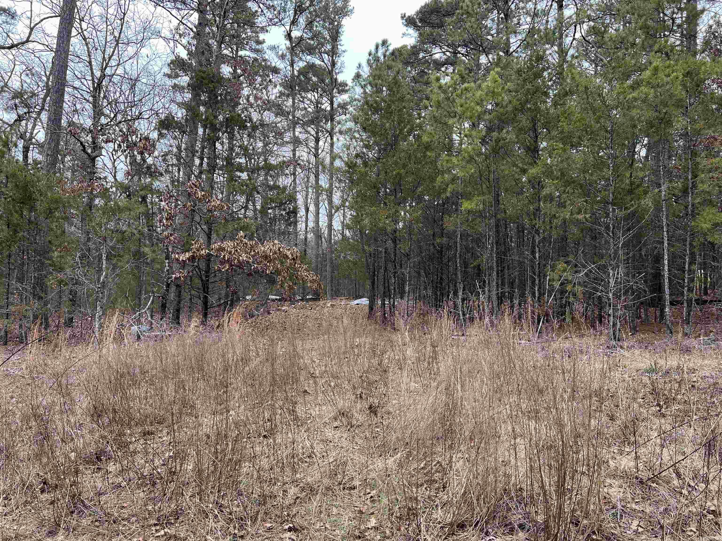 433 Cody Dr  Clinton, AR