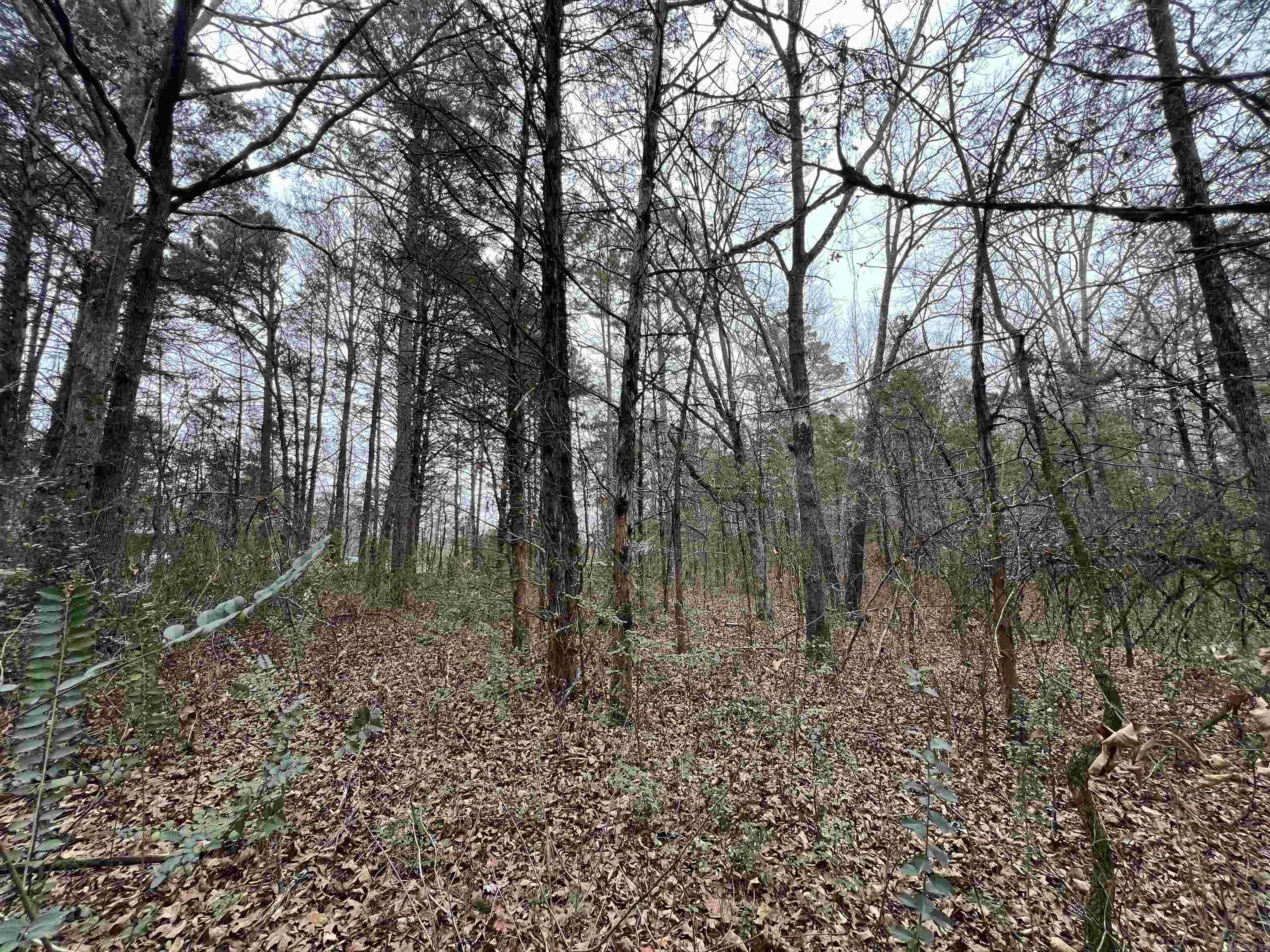 433 Cody Dr  Clinton, AR