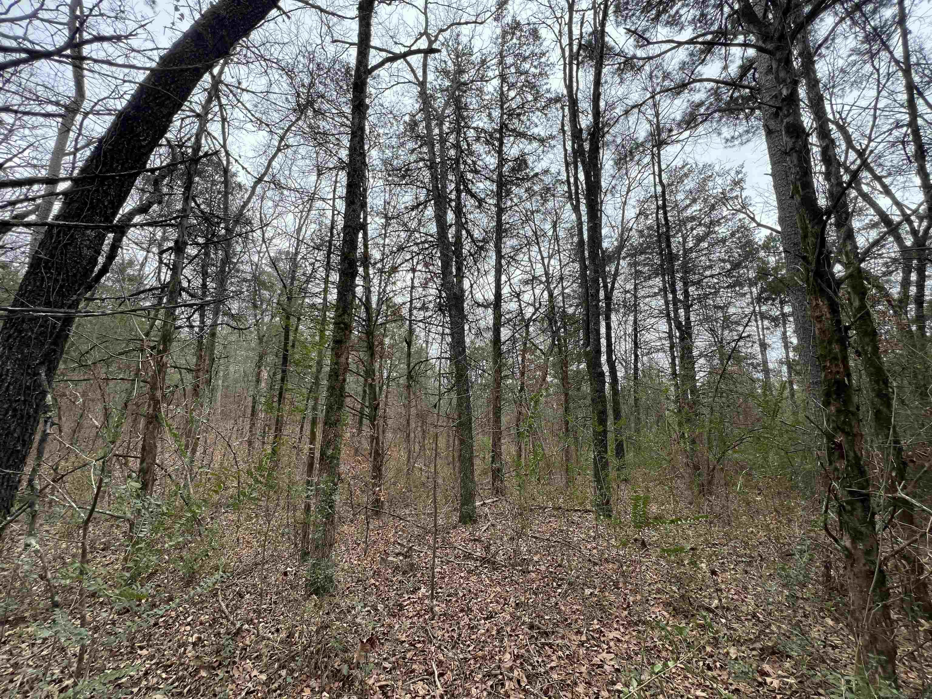 433 Cody Dr  Clinton, AR