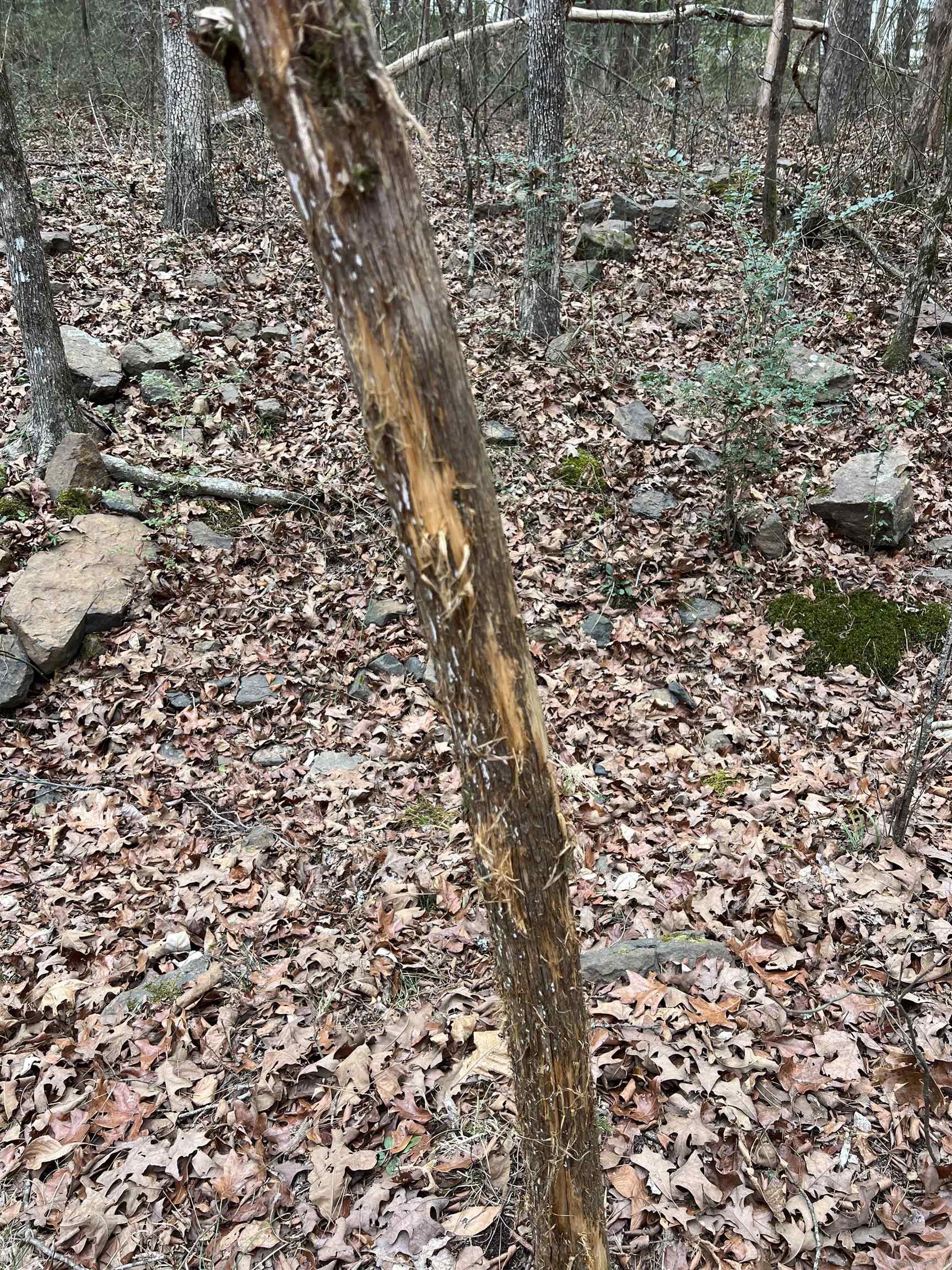 433 Cody Dr  Clinton, AR