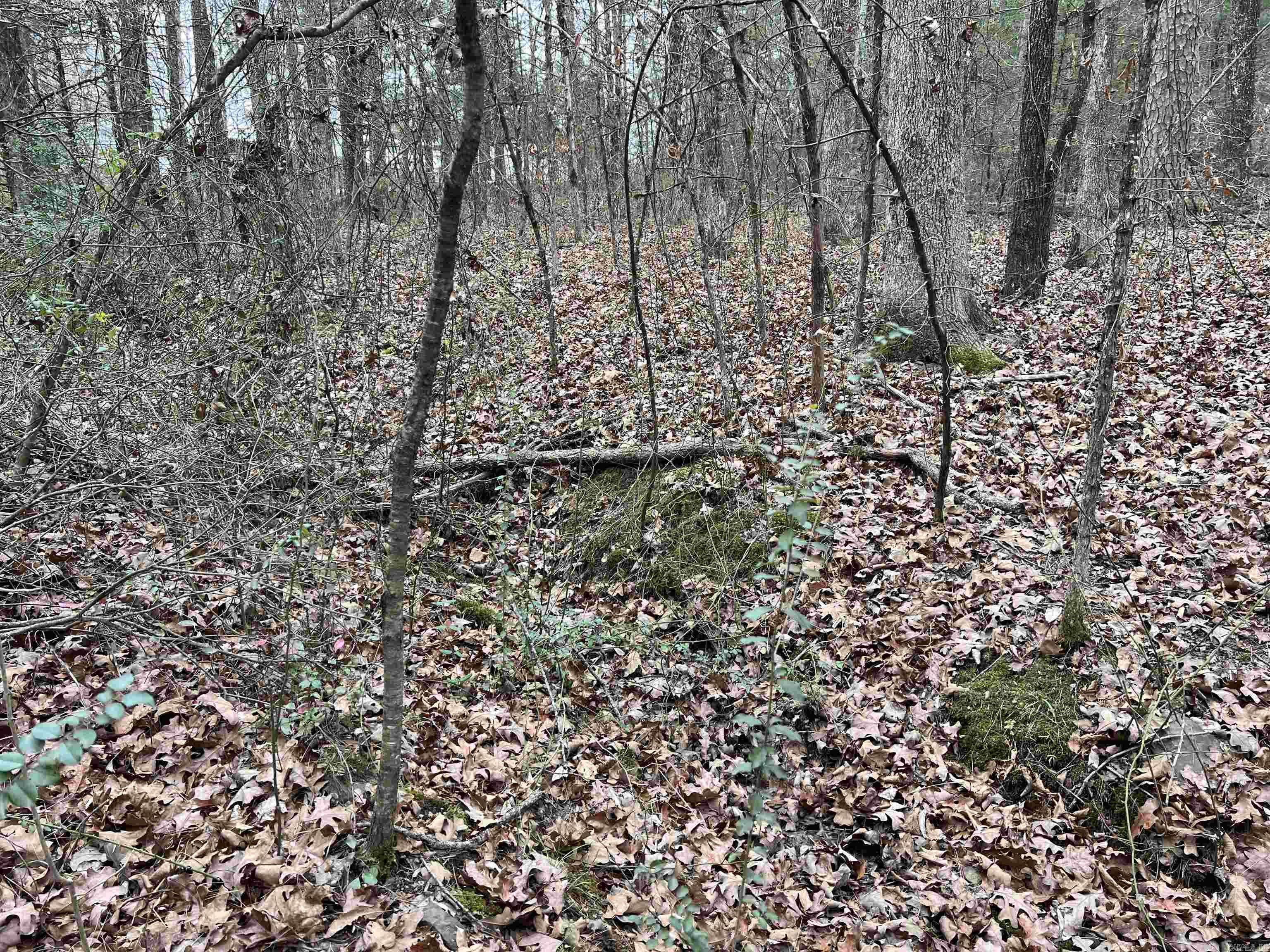 433 Cody Dr  Clinton, AR