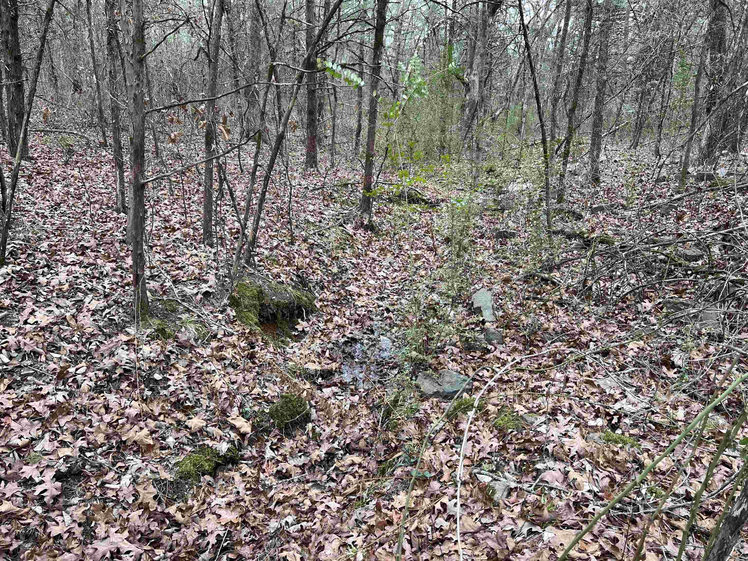 433 Cody Dr  Clinton, AR