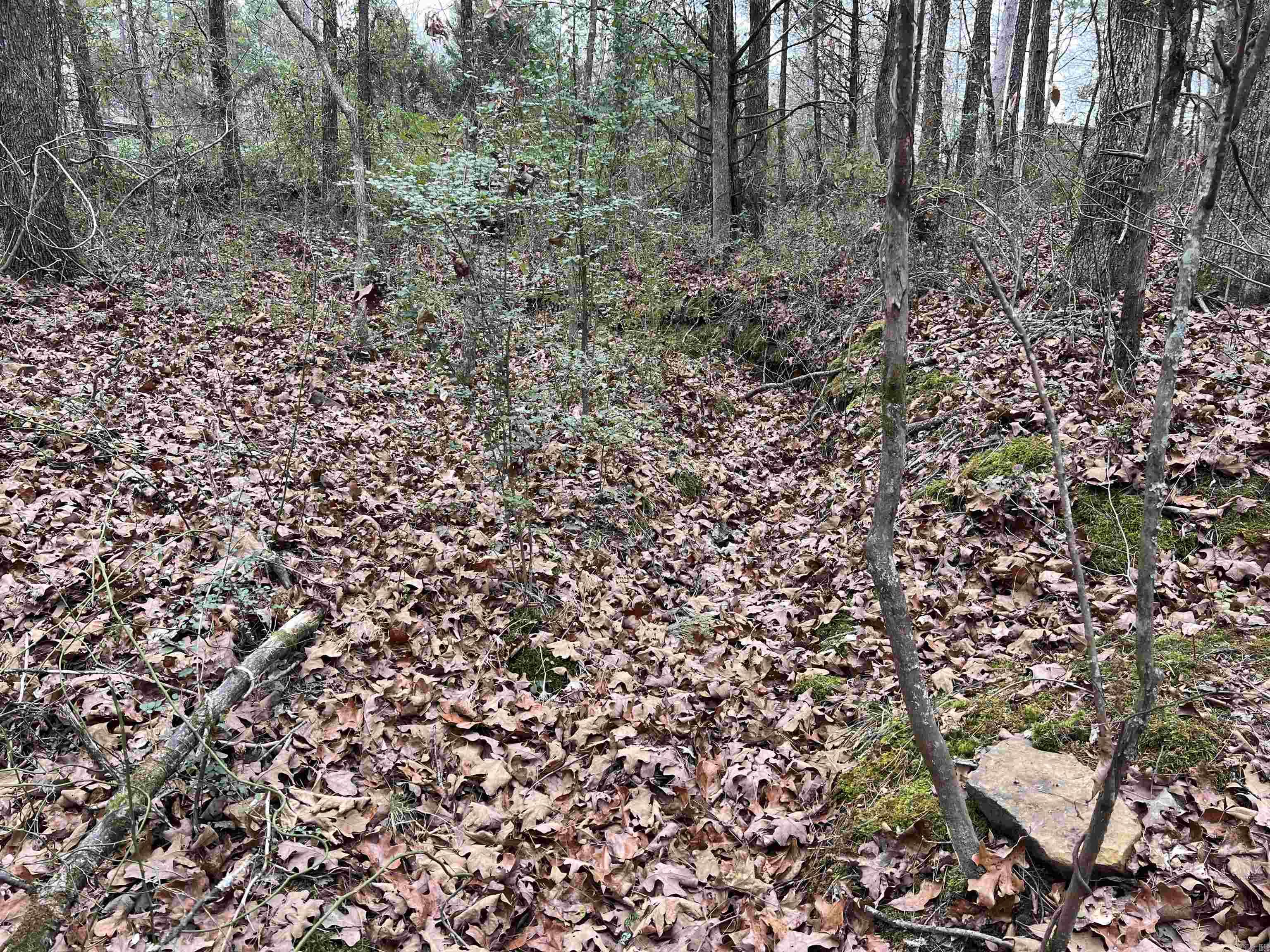 433 Cody Dr  Clinton, AR