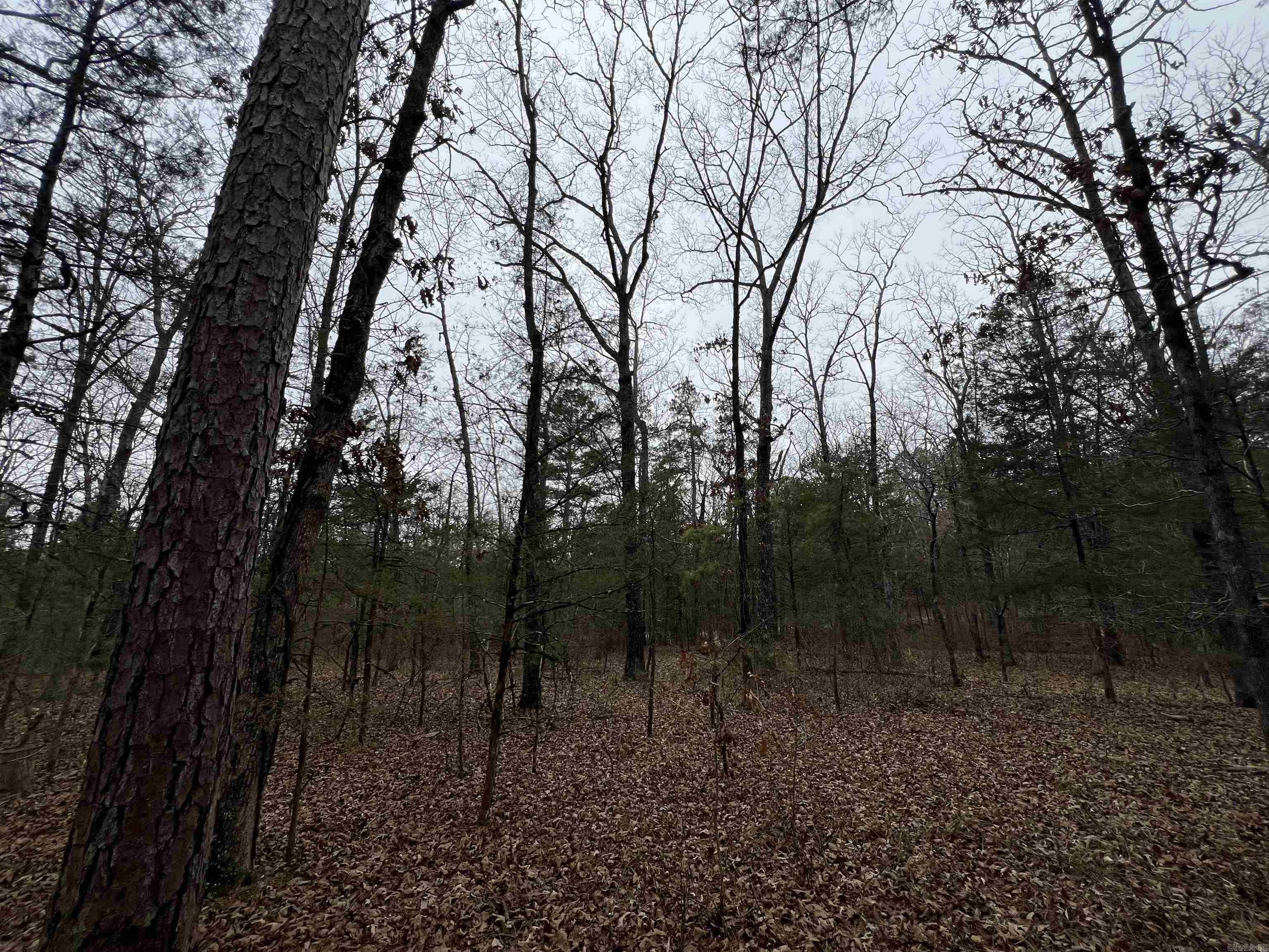 433 Cody Dr  Clinton, AR