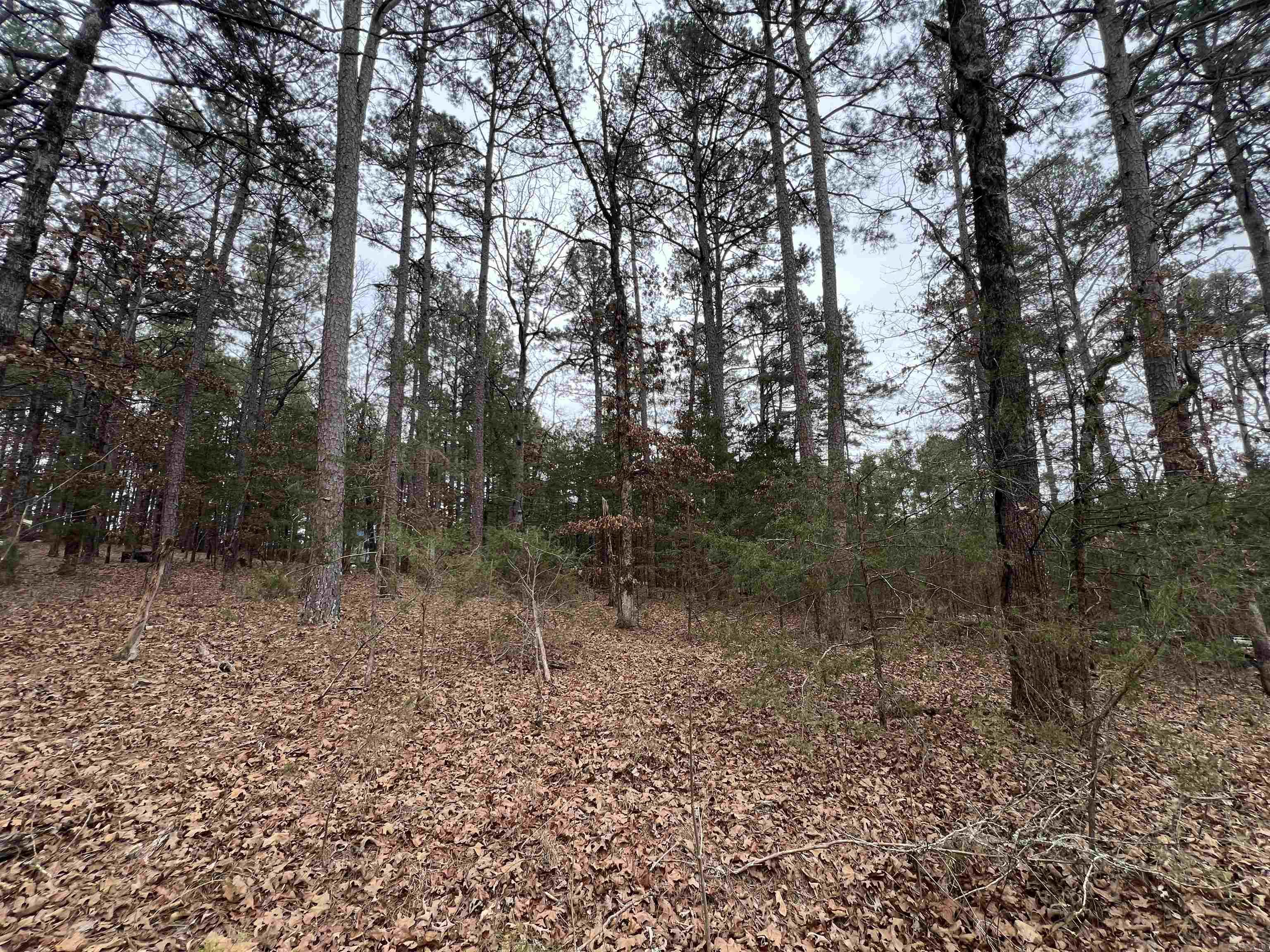 433 Cody Dr  Clinton, AR